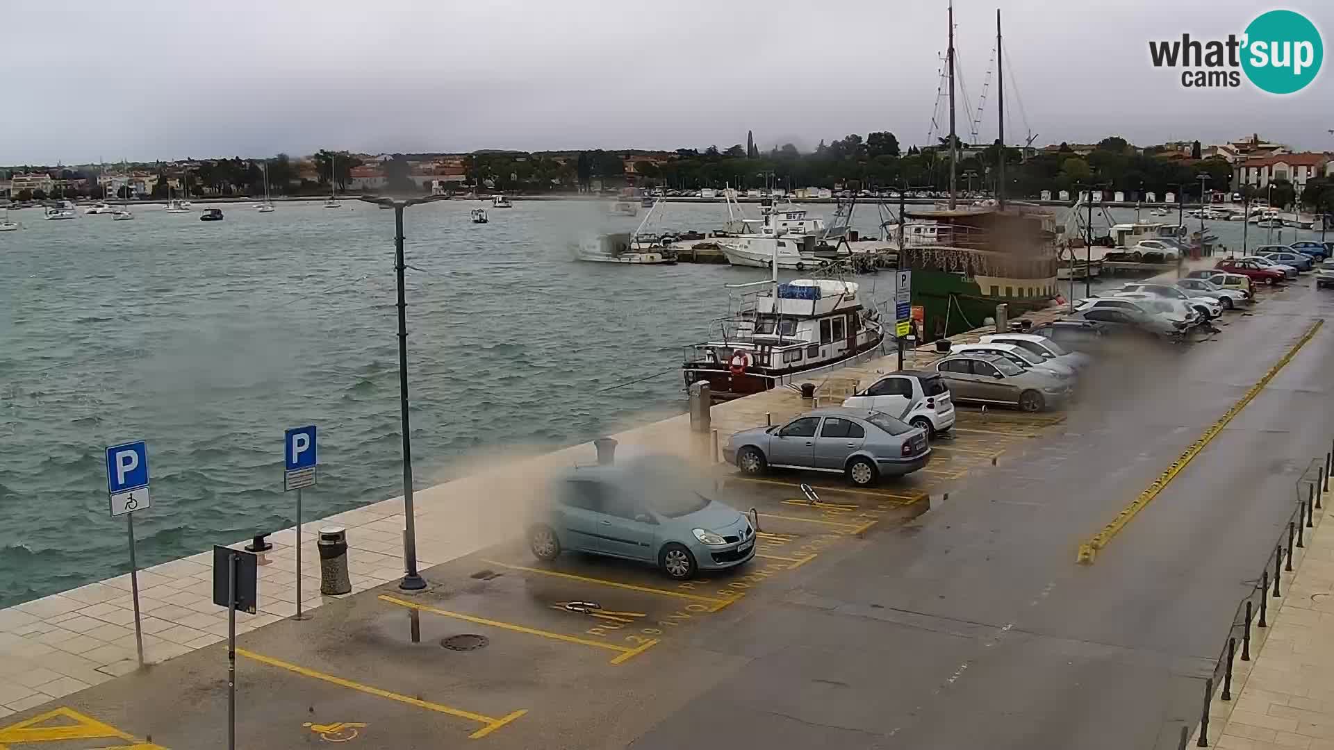 Webcam Umag – Puerto