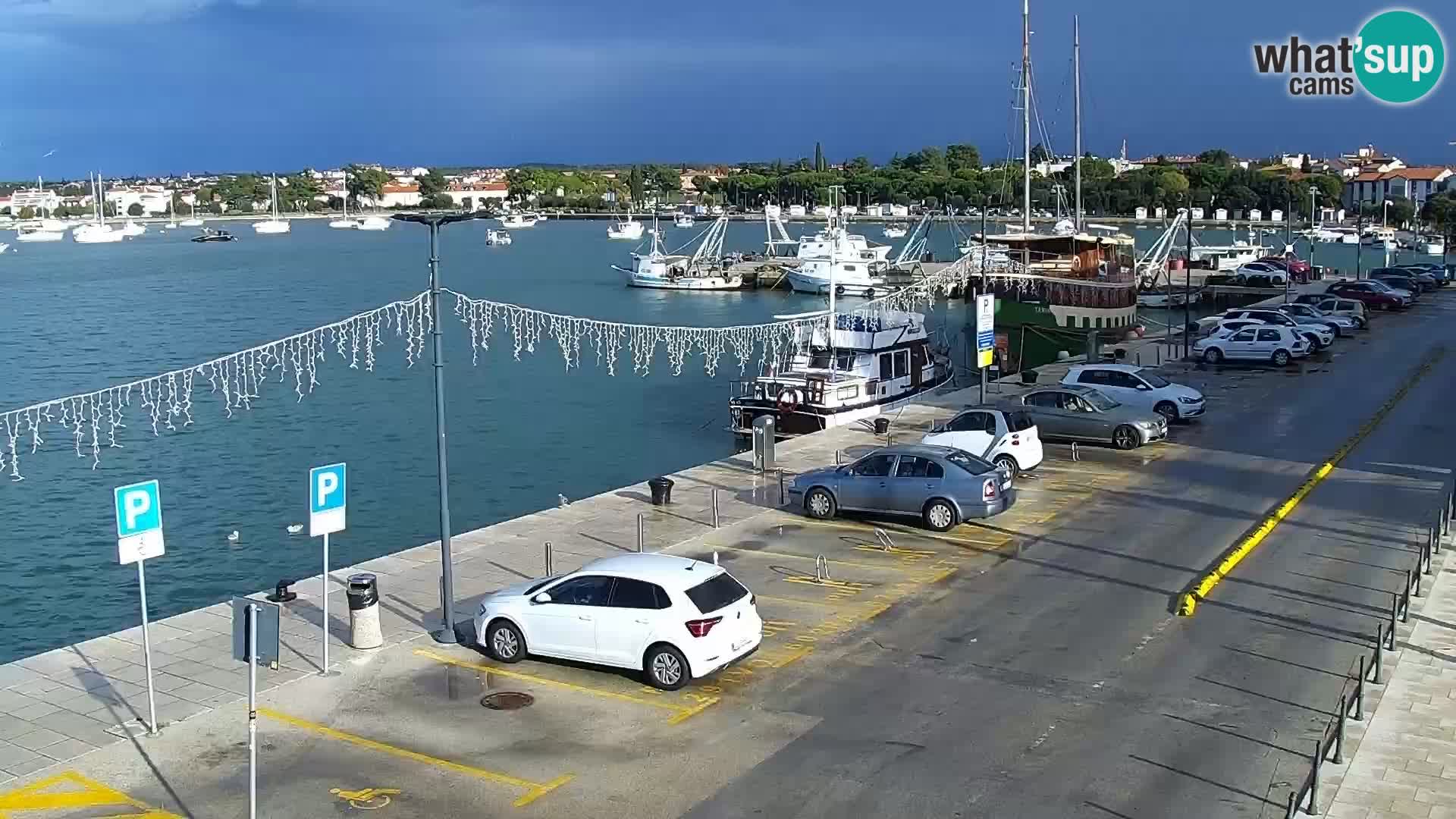 Plaza principal Umag camera en vivo