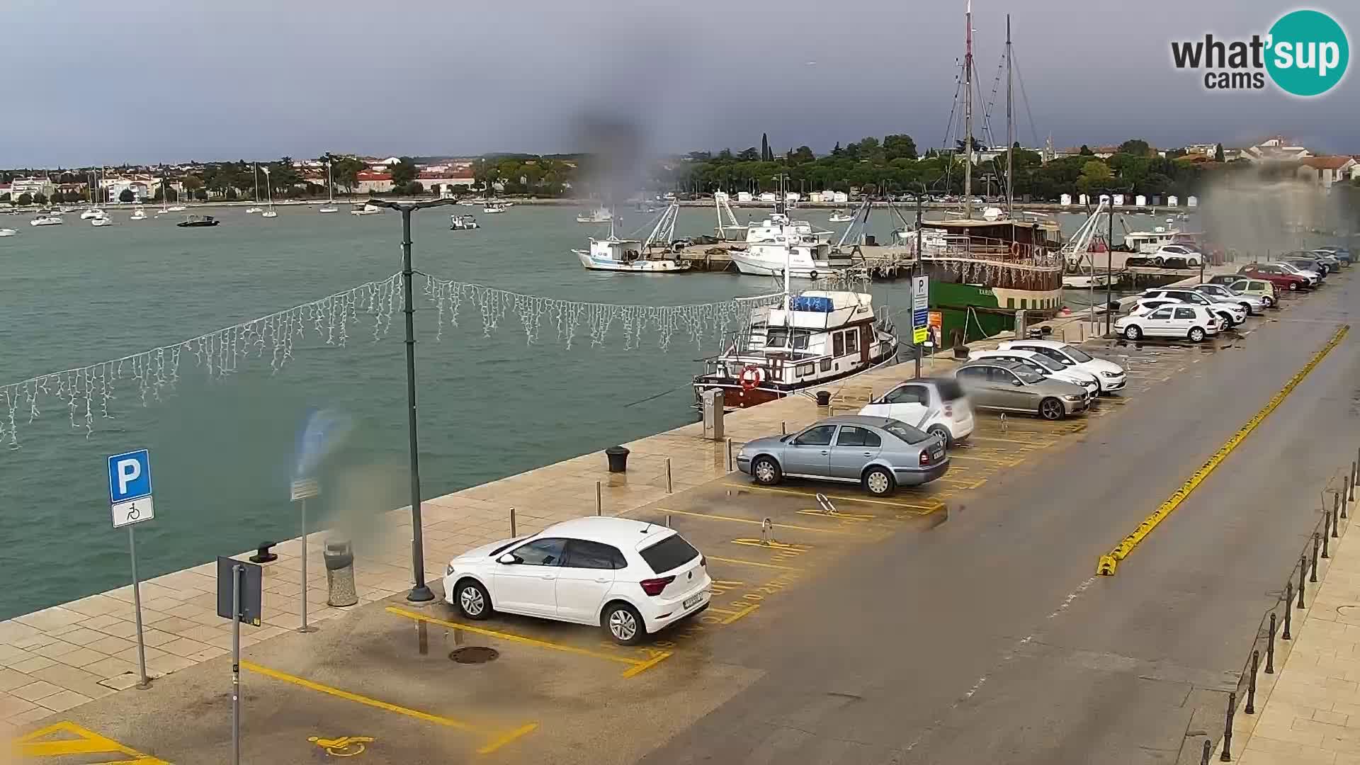 Webcam live Umag – Hafen