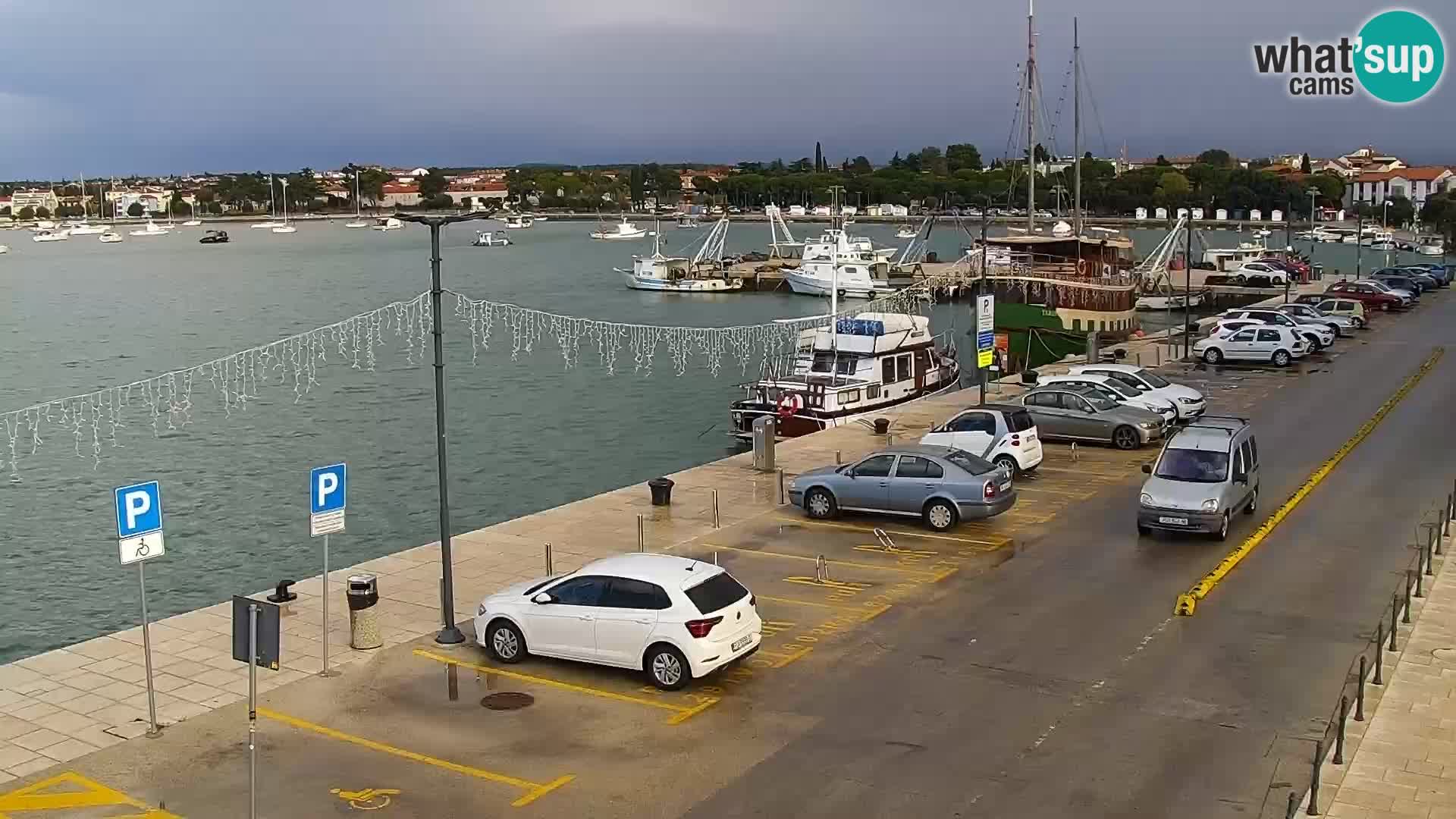 Webcam Umag – Puerto