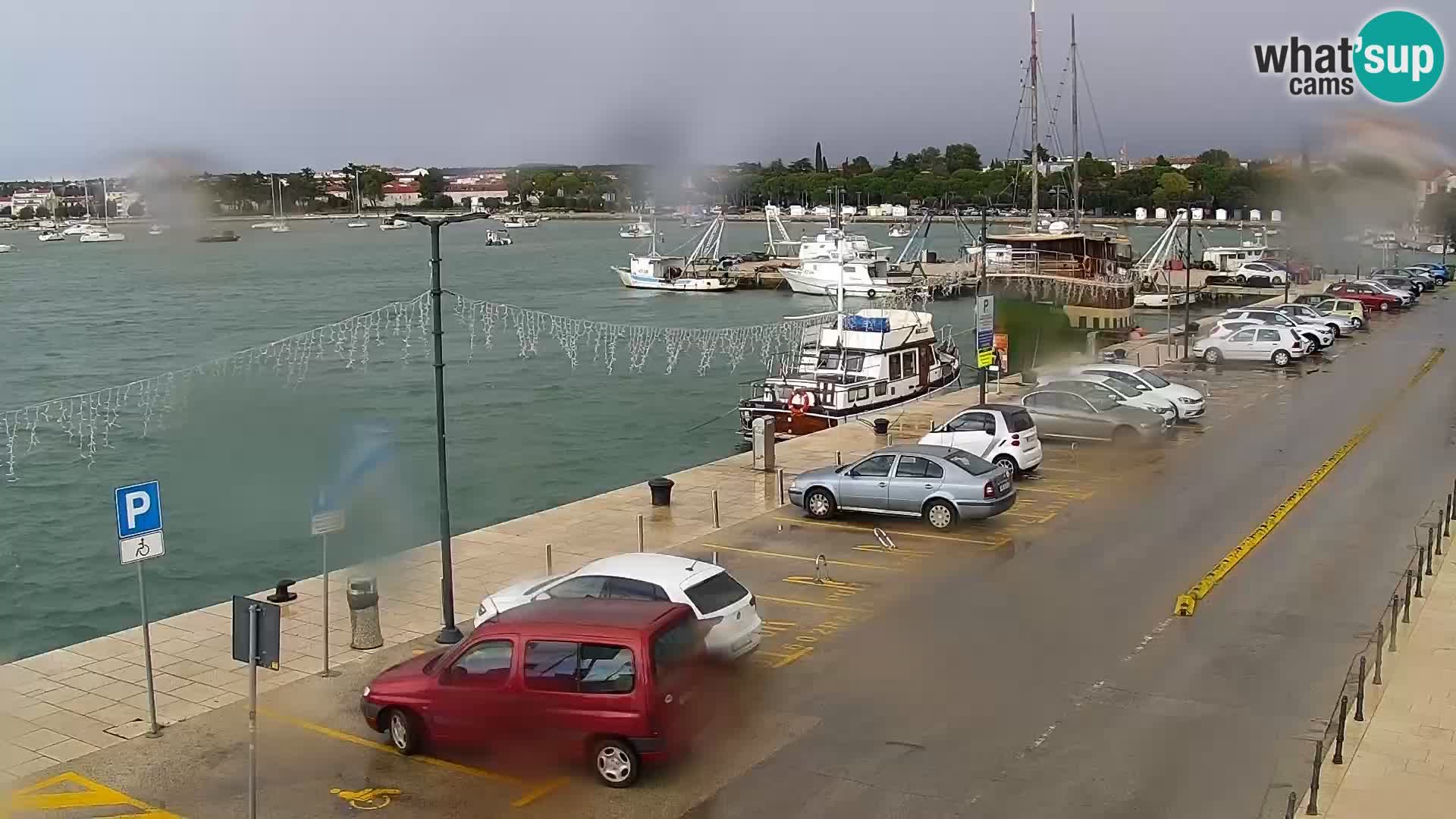 Webcam live Umag – Hafen