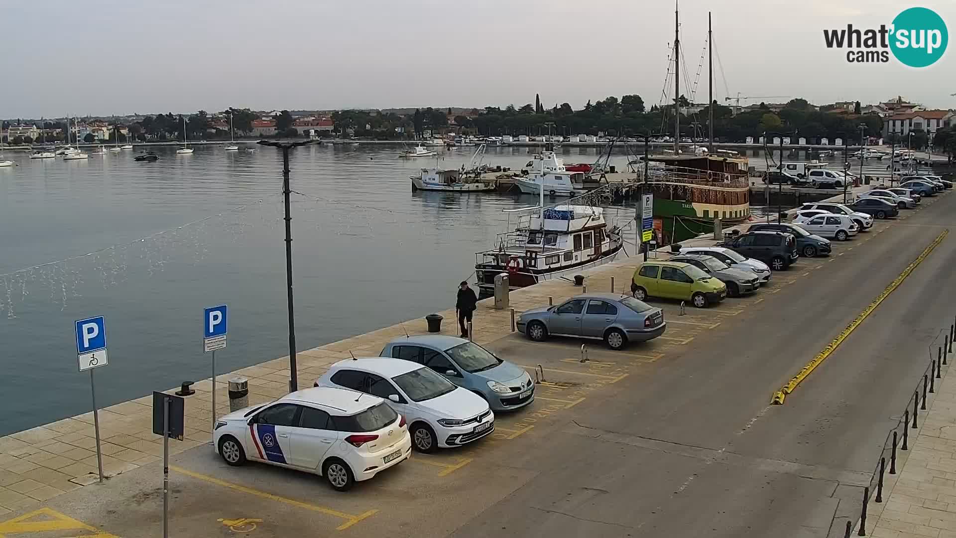 Webcam live Umag – Hafen