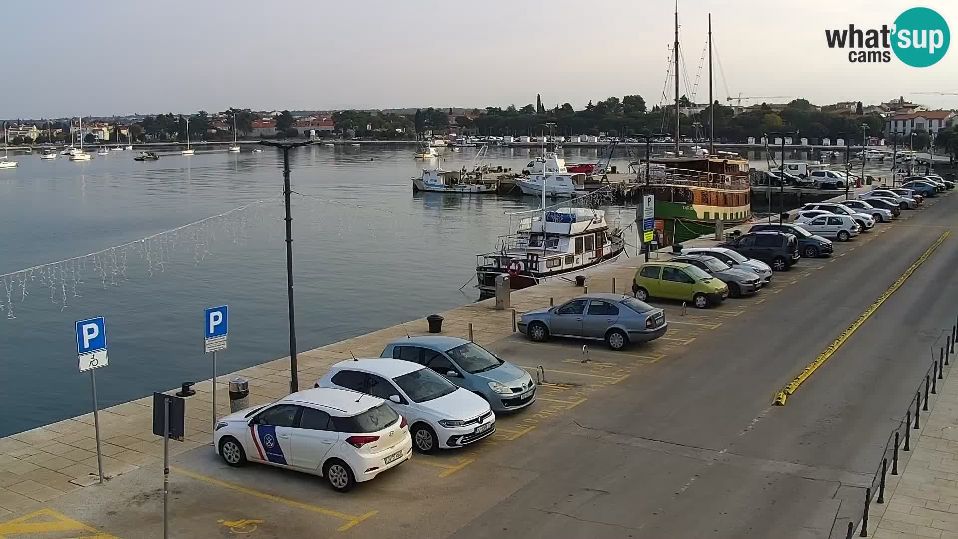 Webcam Umag – Puerto