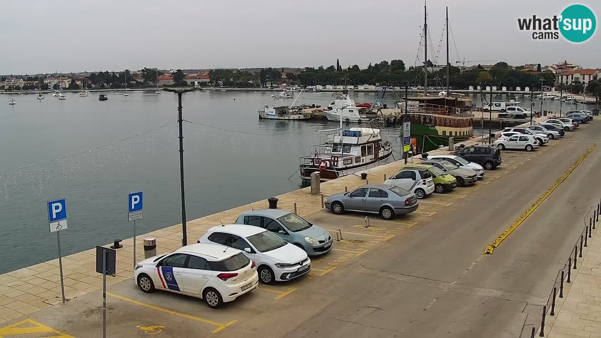 Webcam Umag – Puerto