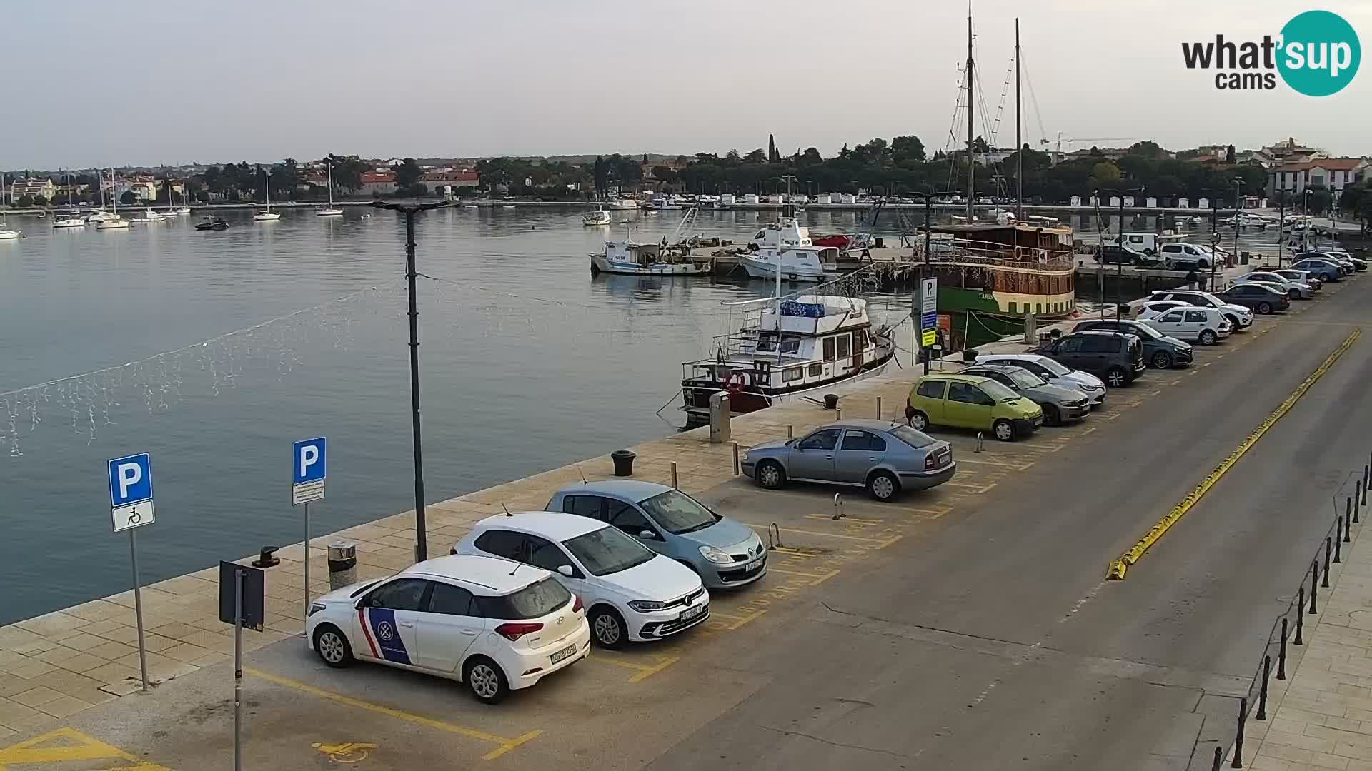 Webcam Umag – Puerto