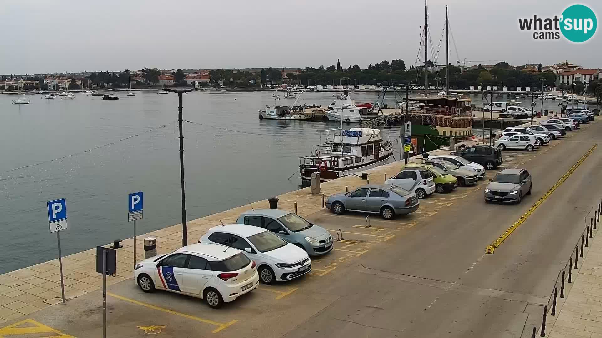 Webcam Umag – Puerto