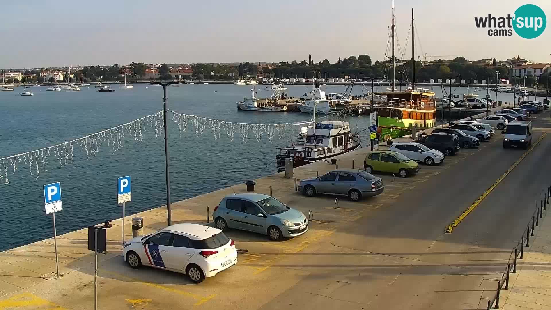 Webcam live Umag – Hafen