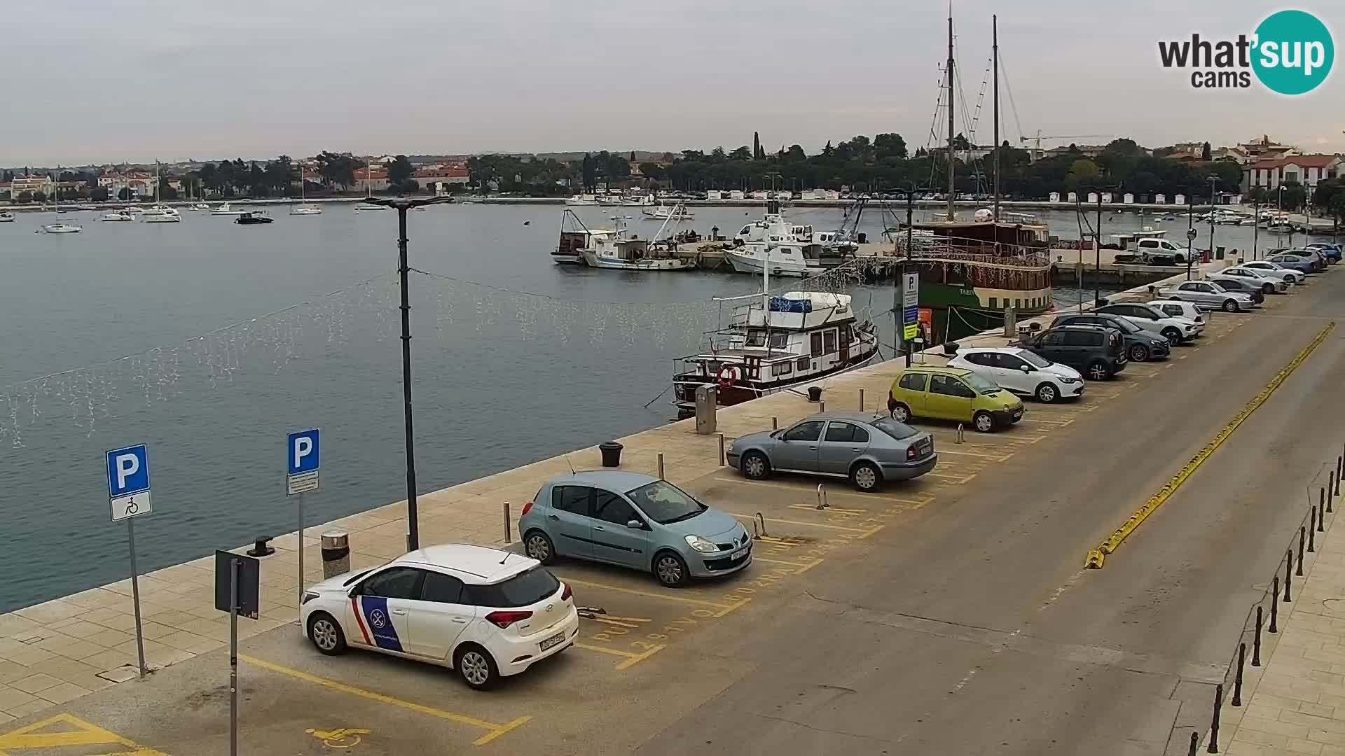 Webcam Umag – Puerto