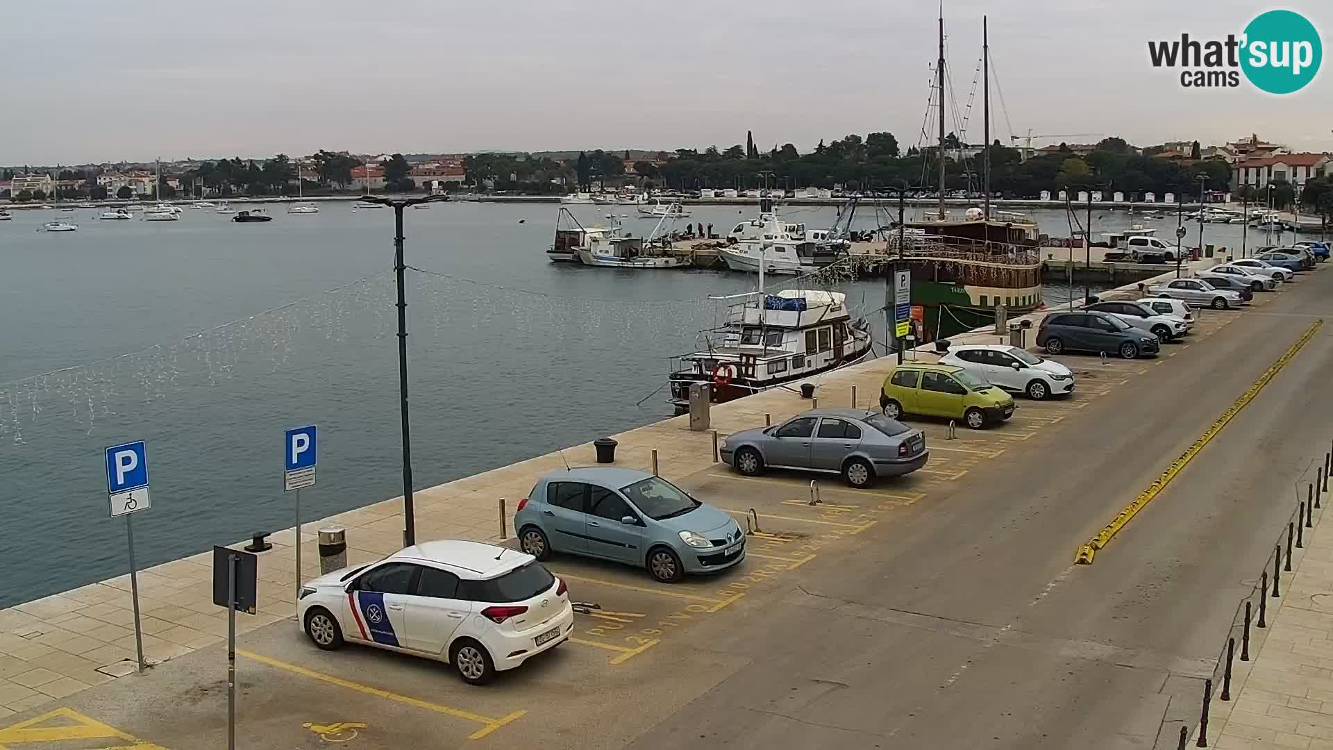 Webcam live Umag – Hafen