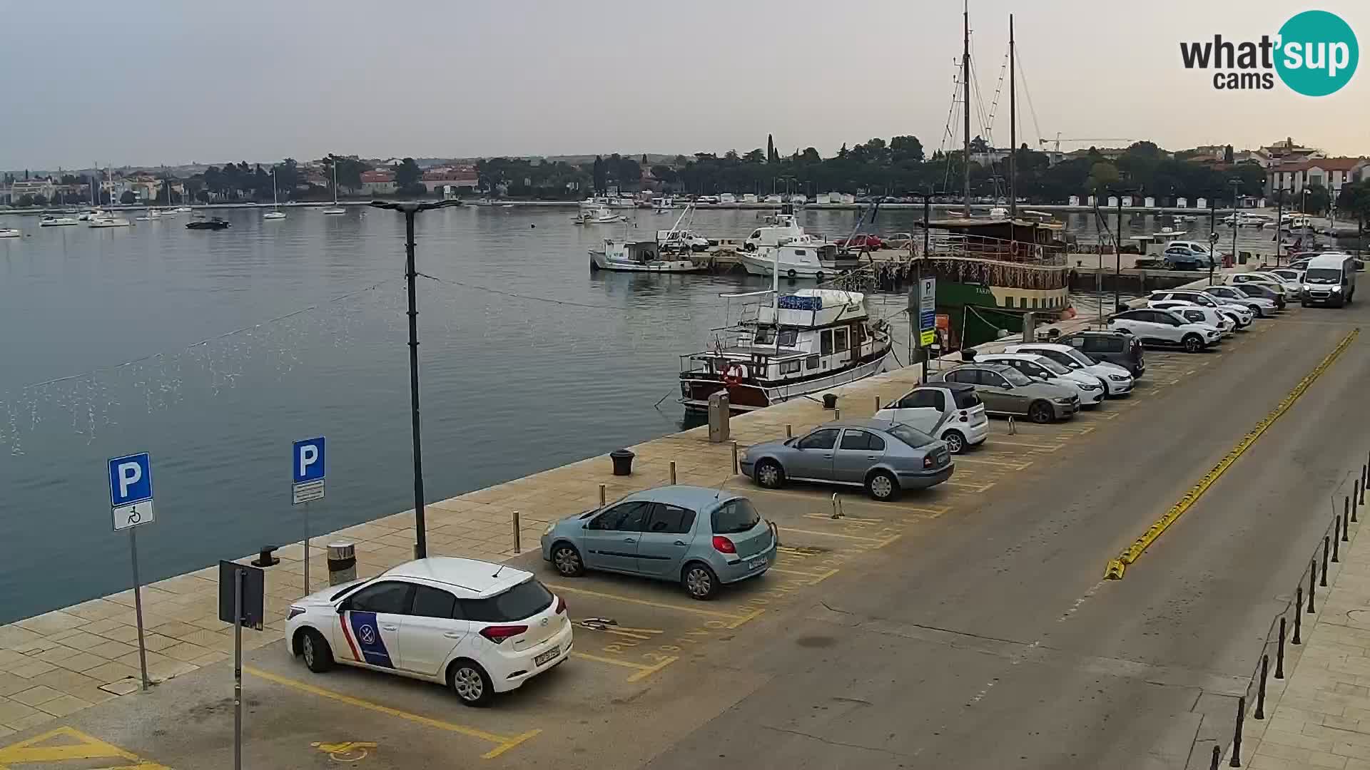 Webcam Umag – Puerto