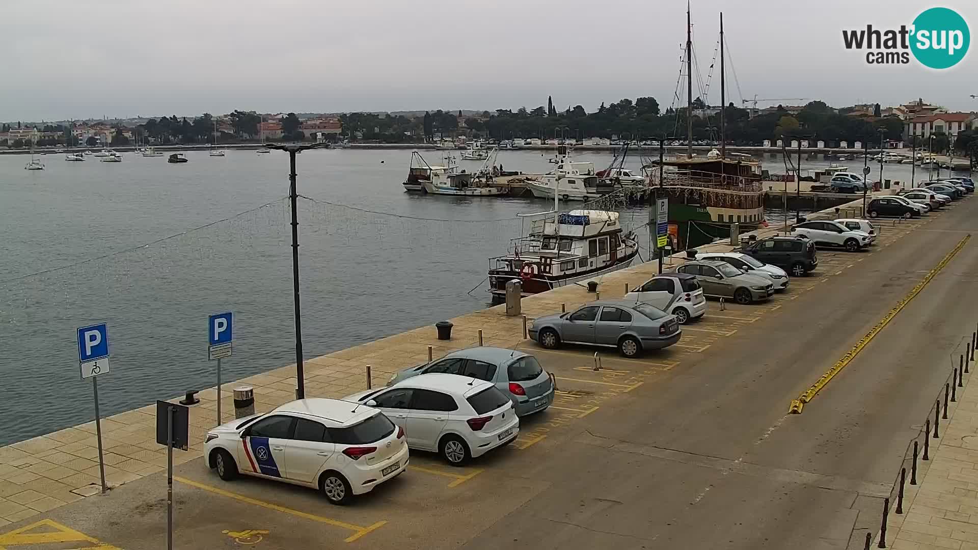 Webcam Umag – Puerto