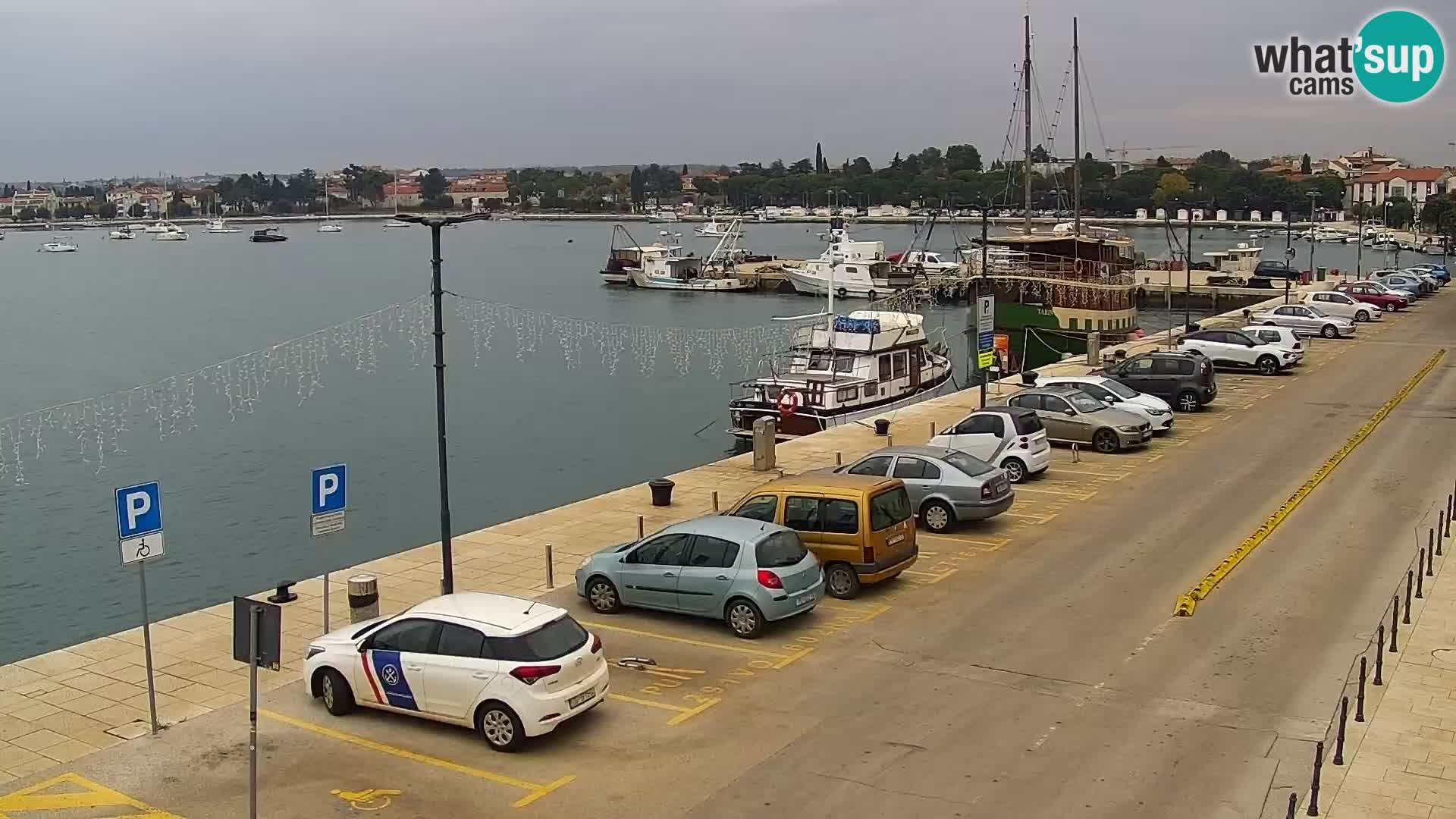 Web kamera Umag – luka