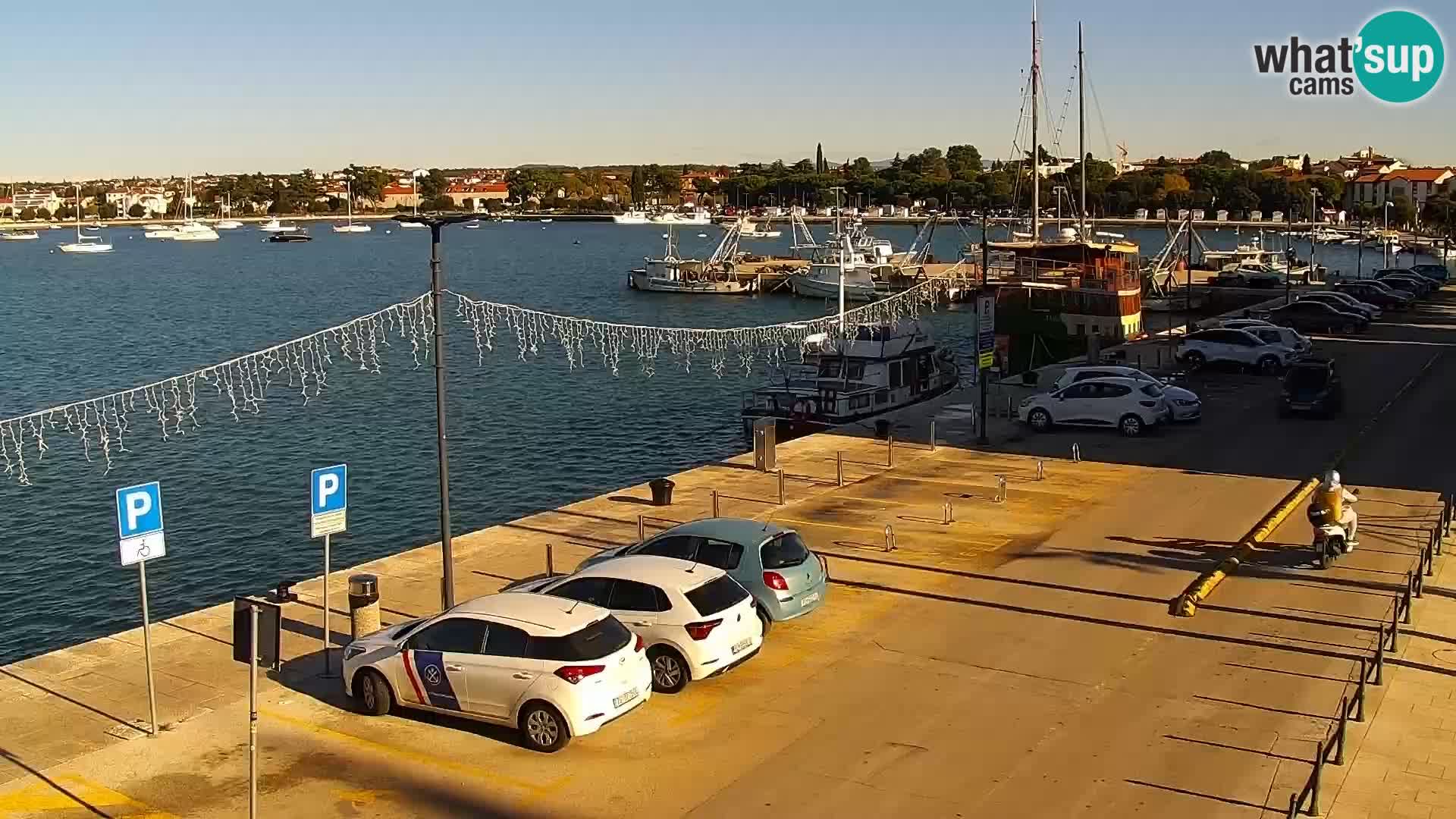 Webcam live Umag – Hafen