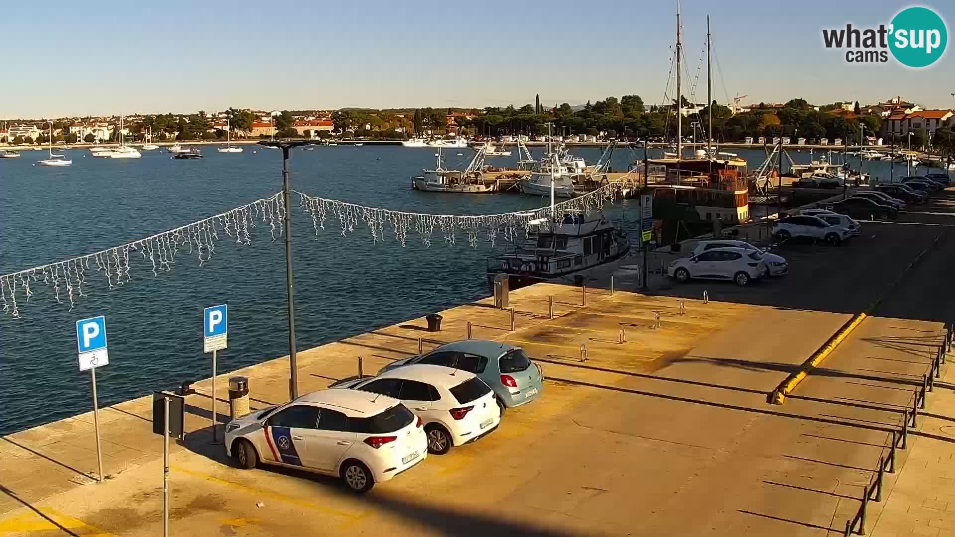 Webcam live Umag – Hafen