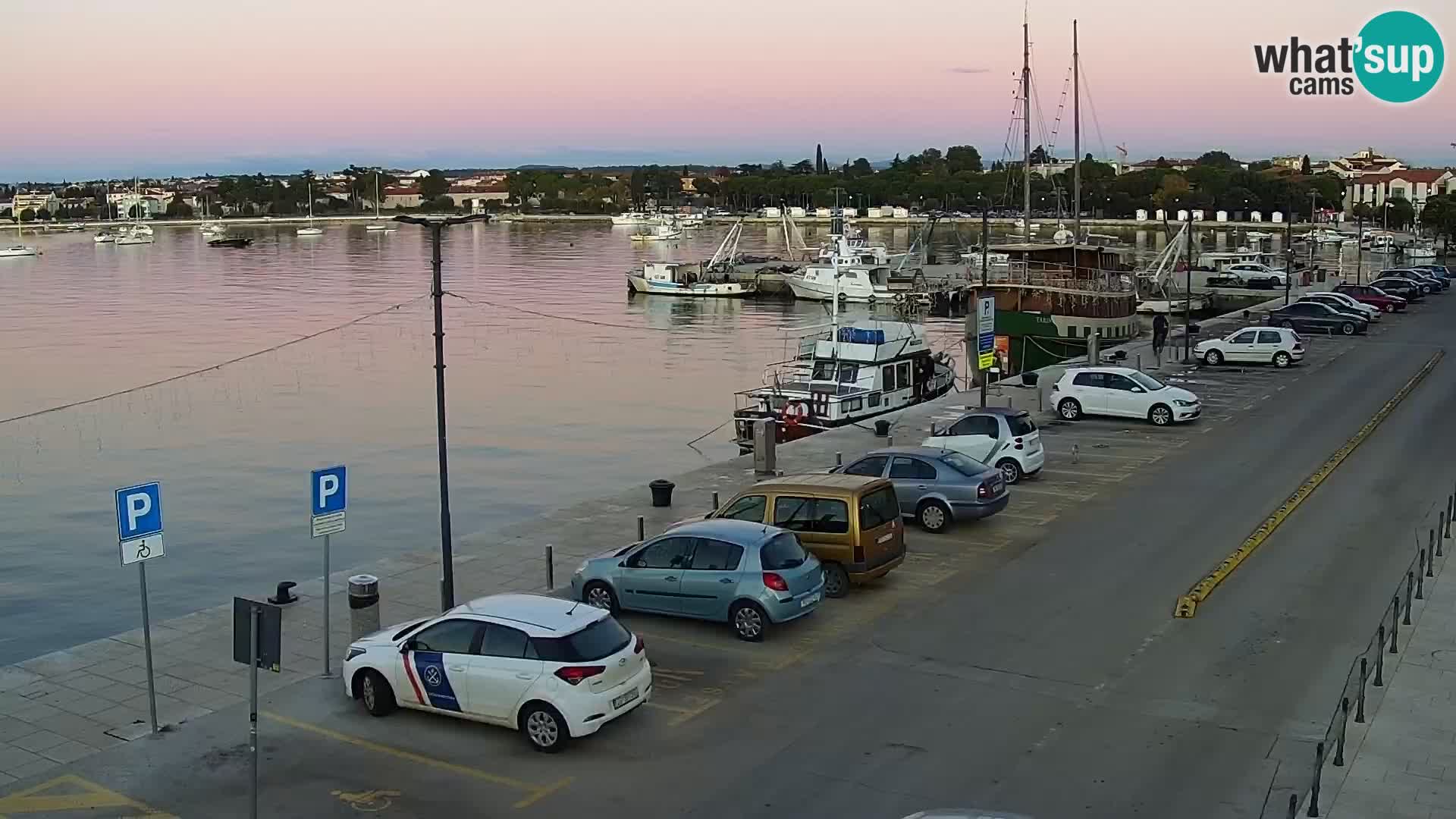 Webcam live Umag – Hafen