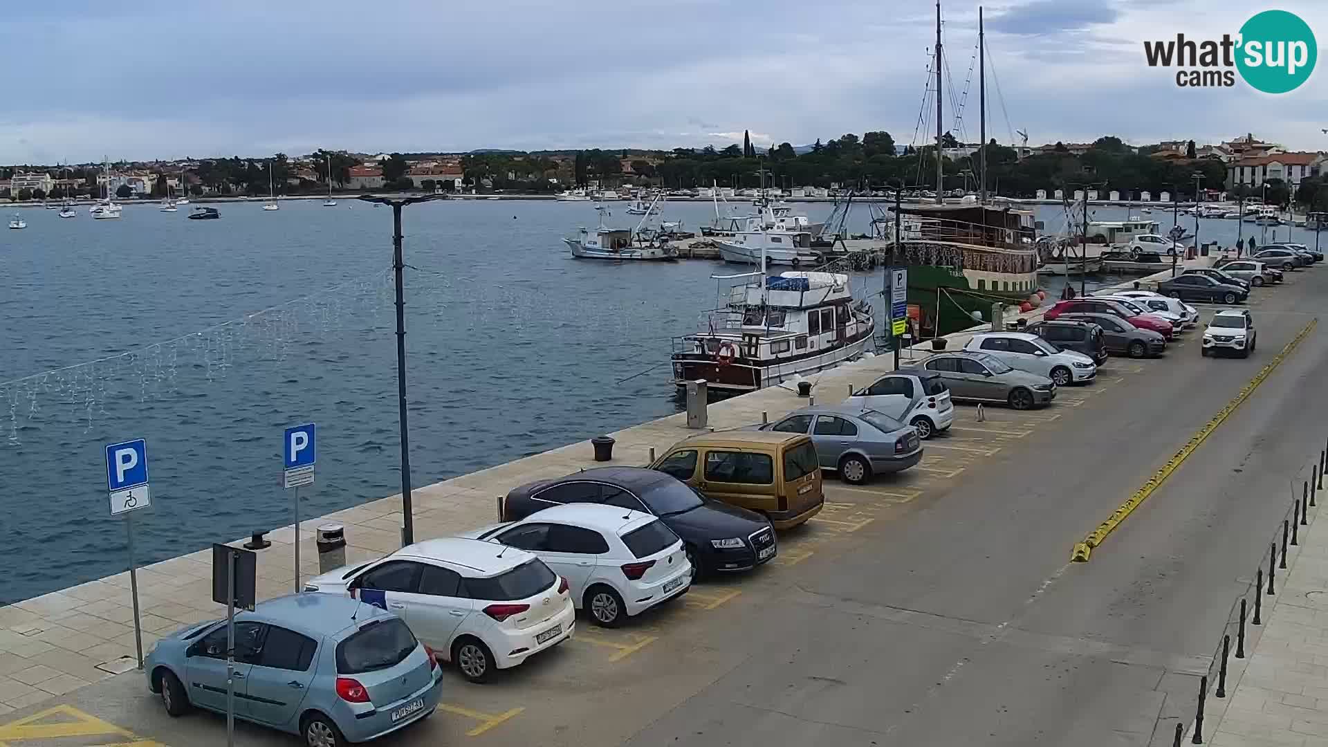 Webcam live Umag – Hafen