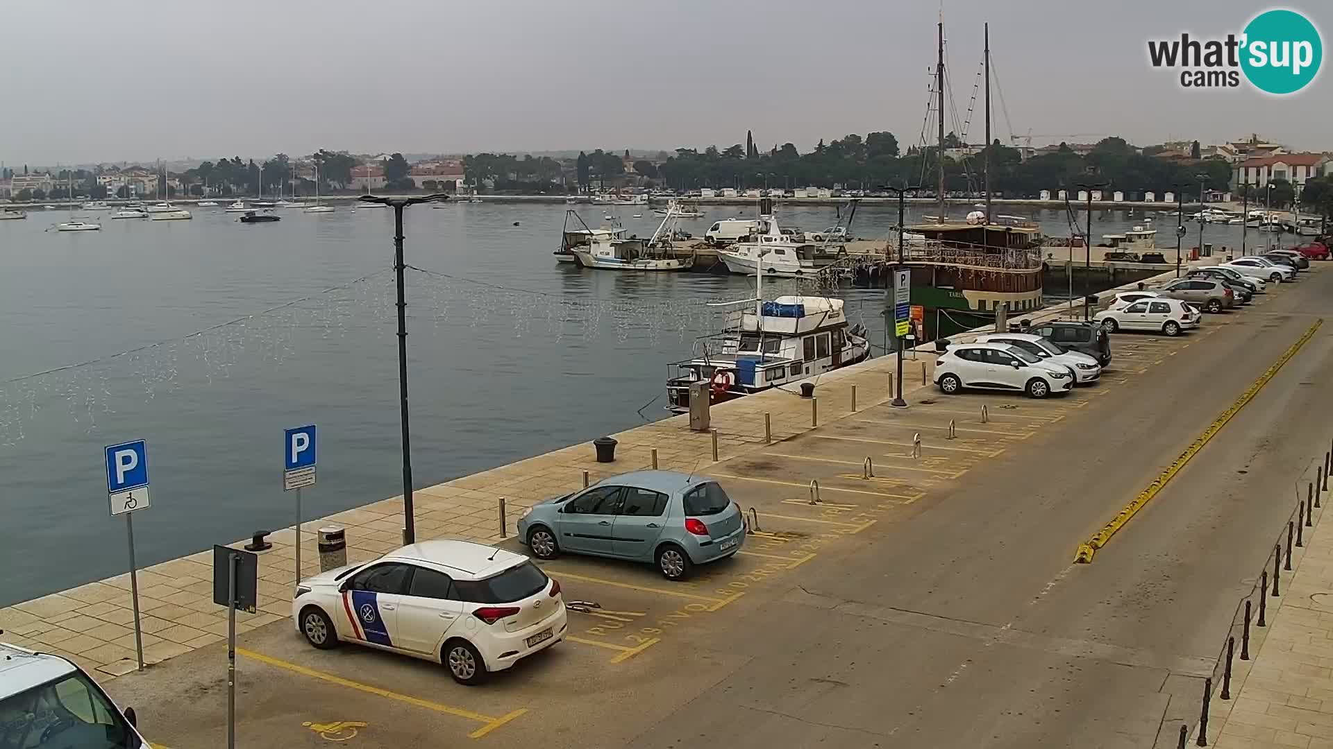 Webcam live Umag – Hafen