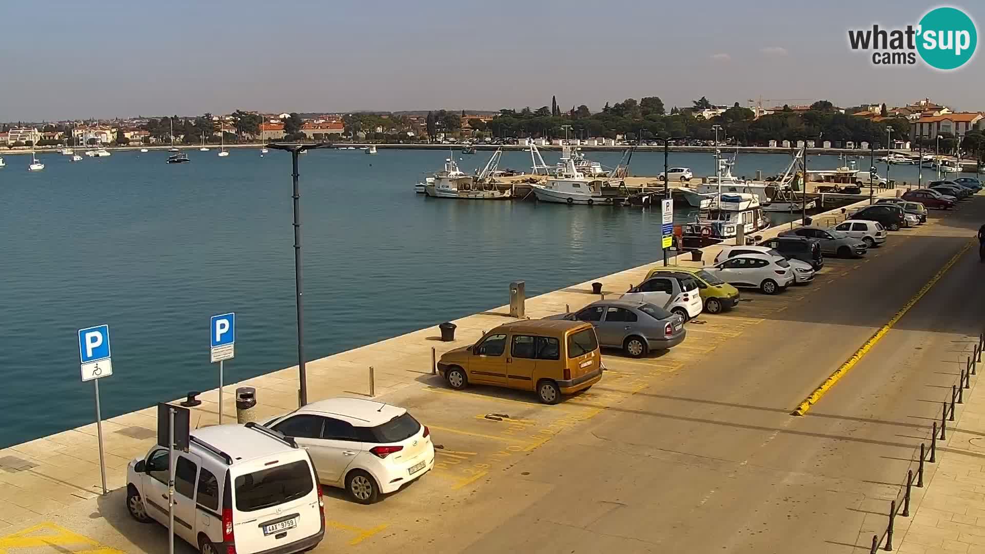 Webcam Umag – Puerto