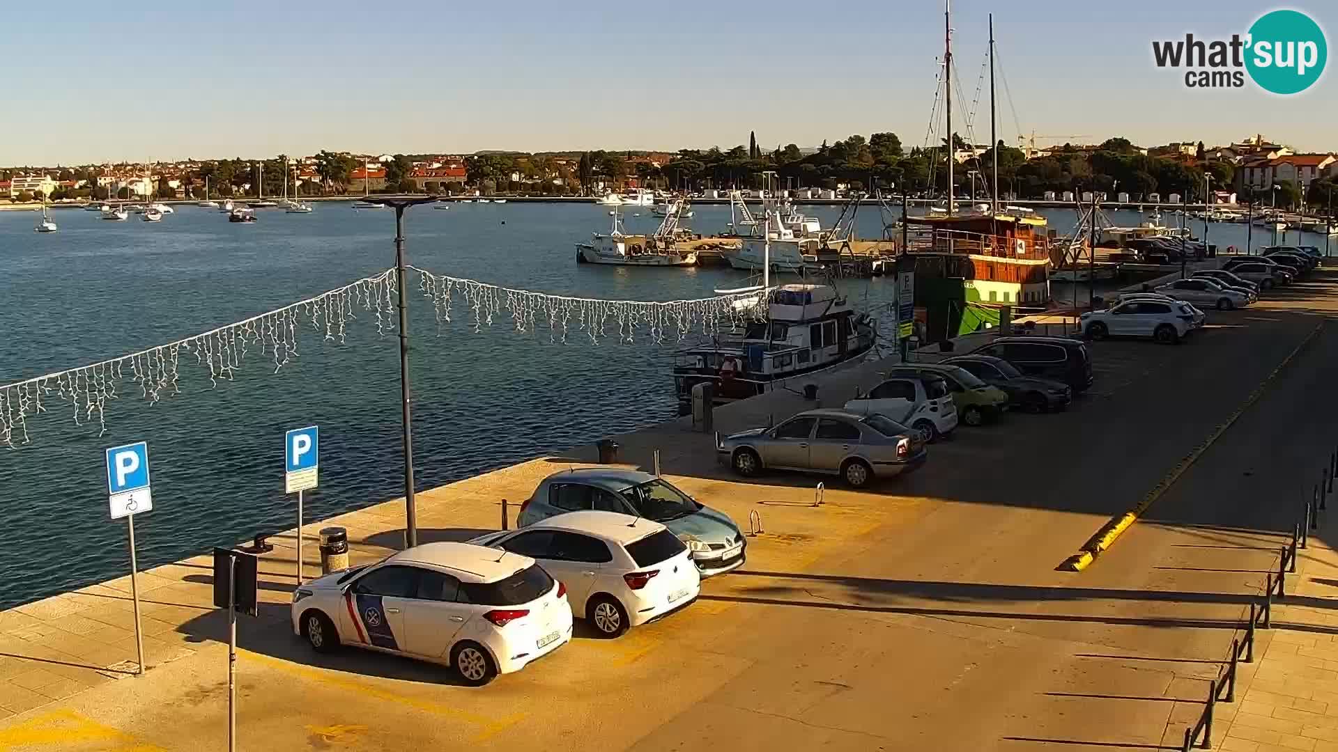 Webcam live Umag – port