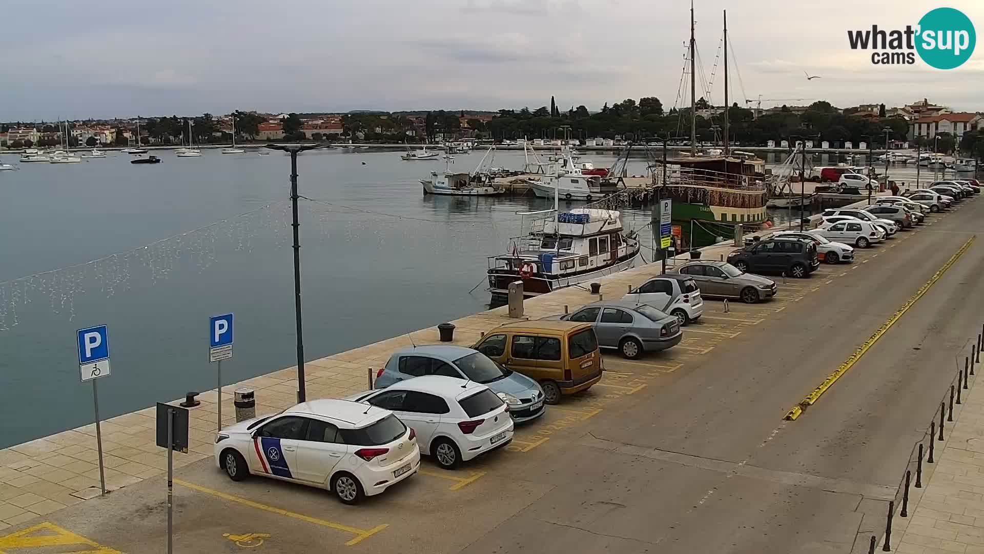 Spletna kamera Umag – luka