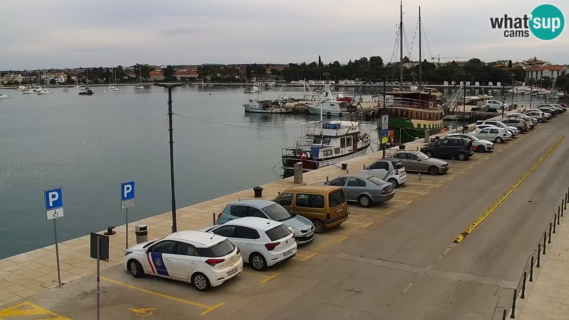 Webcam live Umag – Hafen