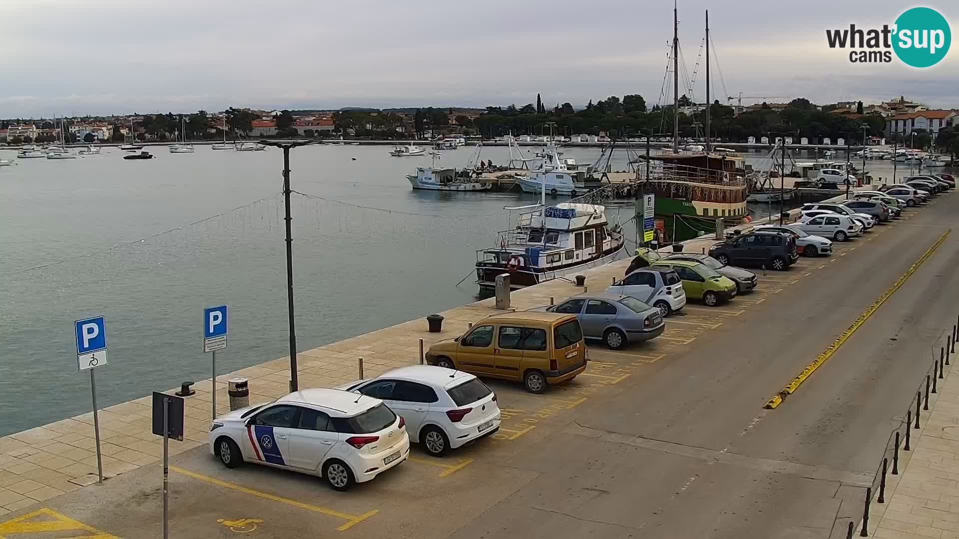 Trg Svobode – Kamera u živo Umag