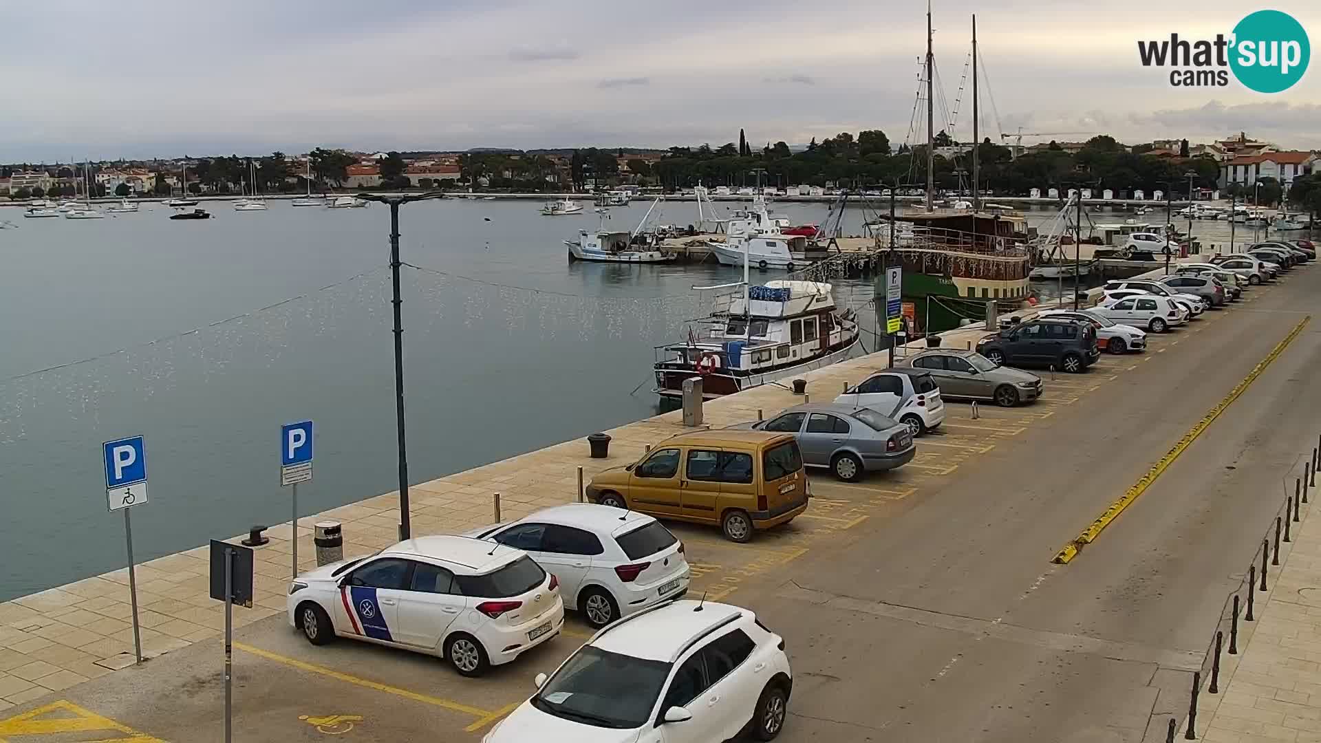 Webcam live Umag – Hafen