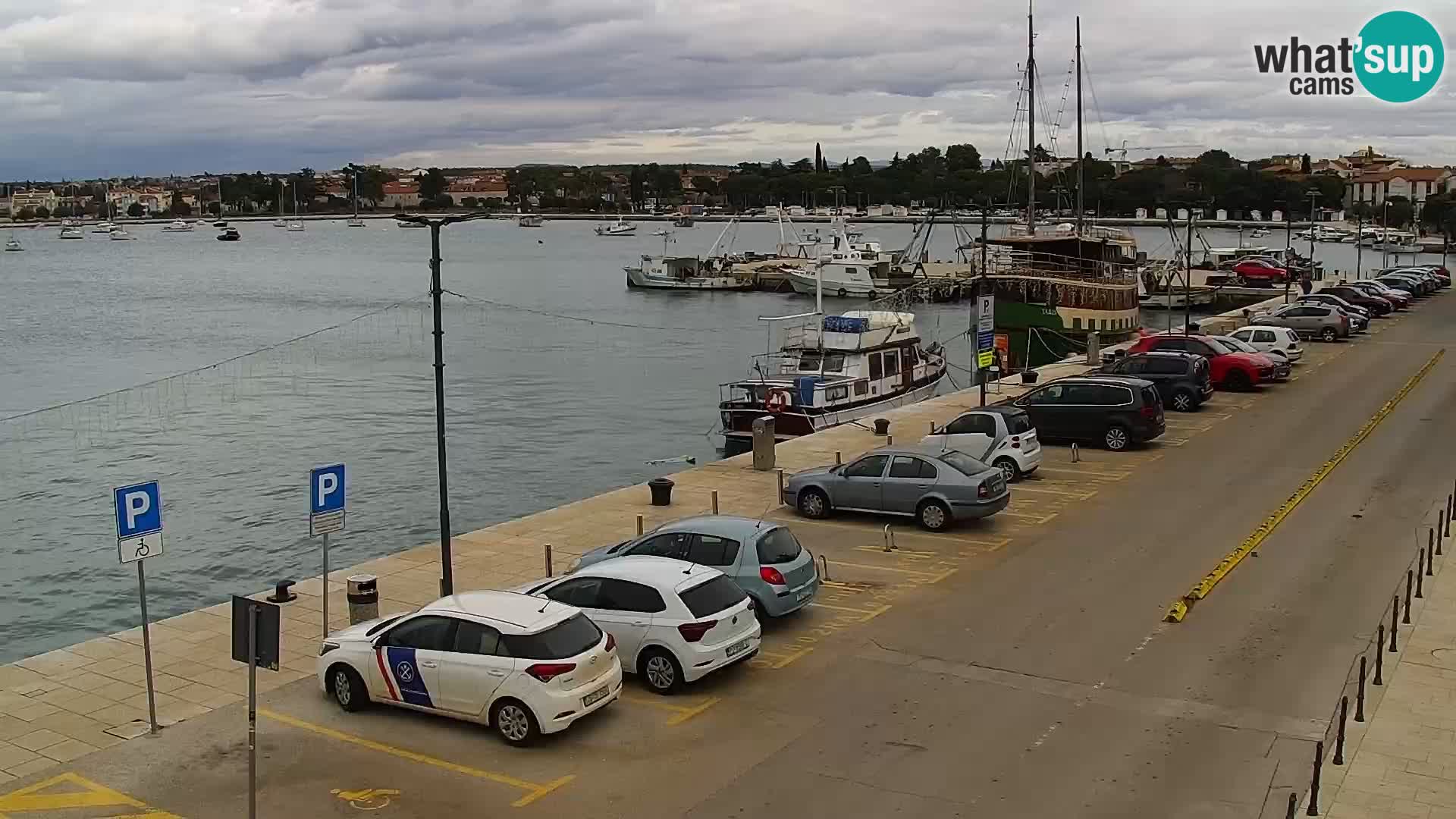 Webcam live Umag – Hafen