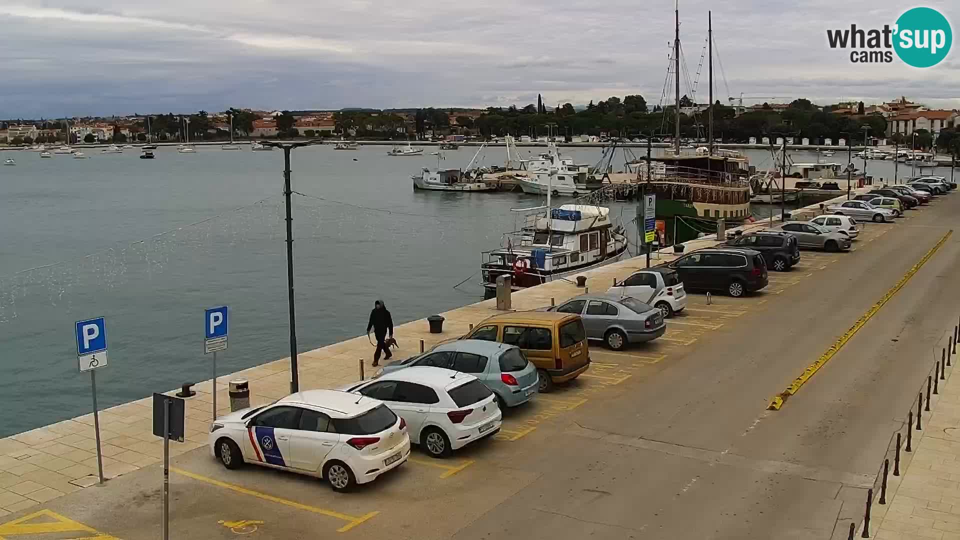 Webcam live Umag – Hafen