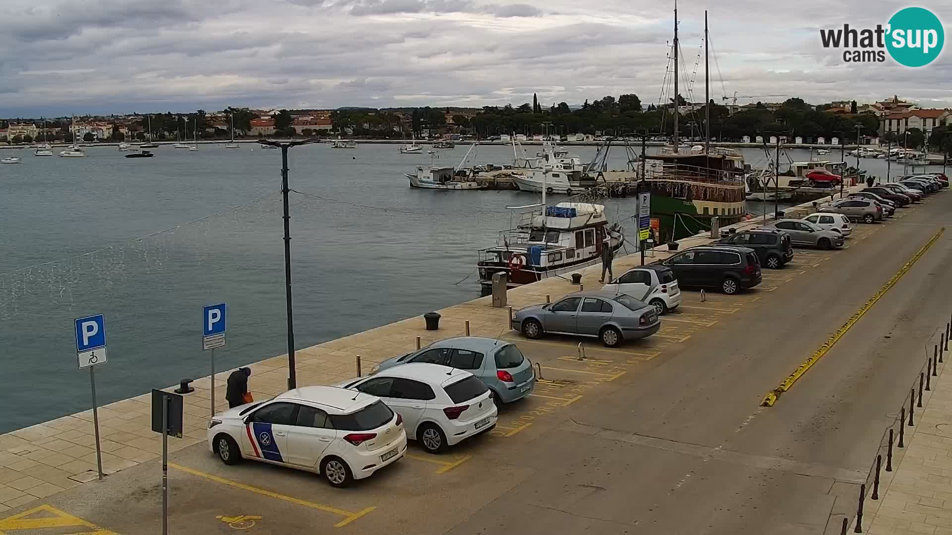 Webcam live Umag – port