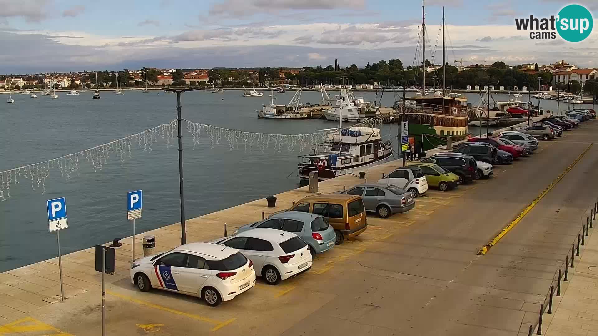 Webcam Umag – Puerto