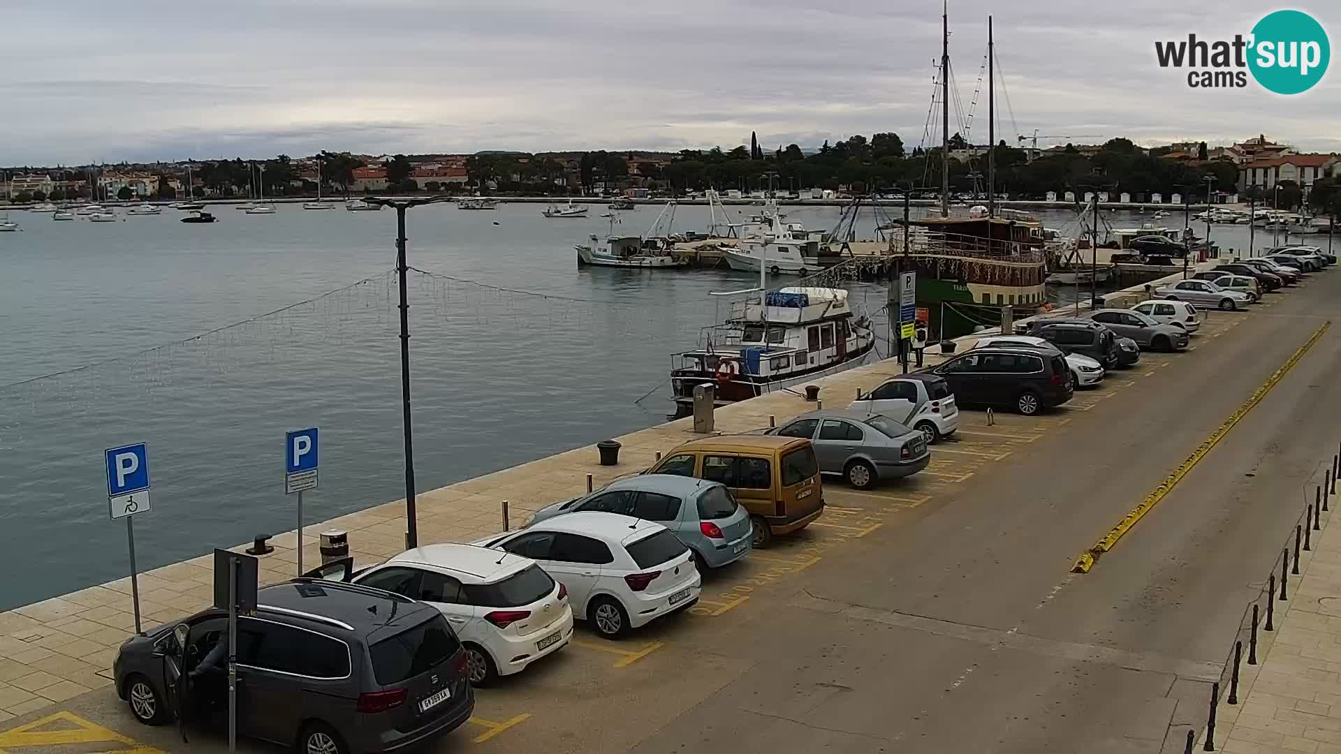 Webcam Umag – Puerto