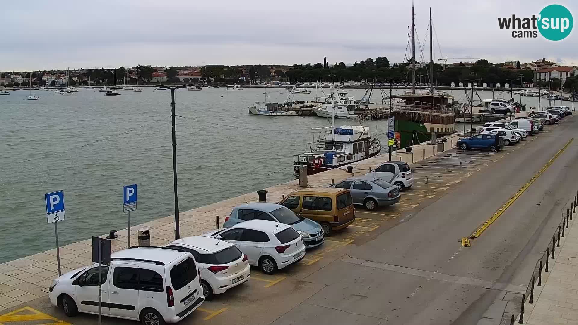 Webcam live Umag – port