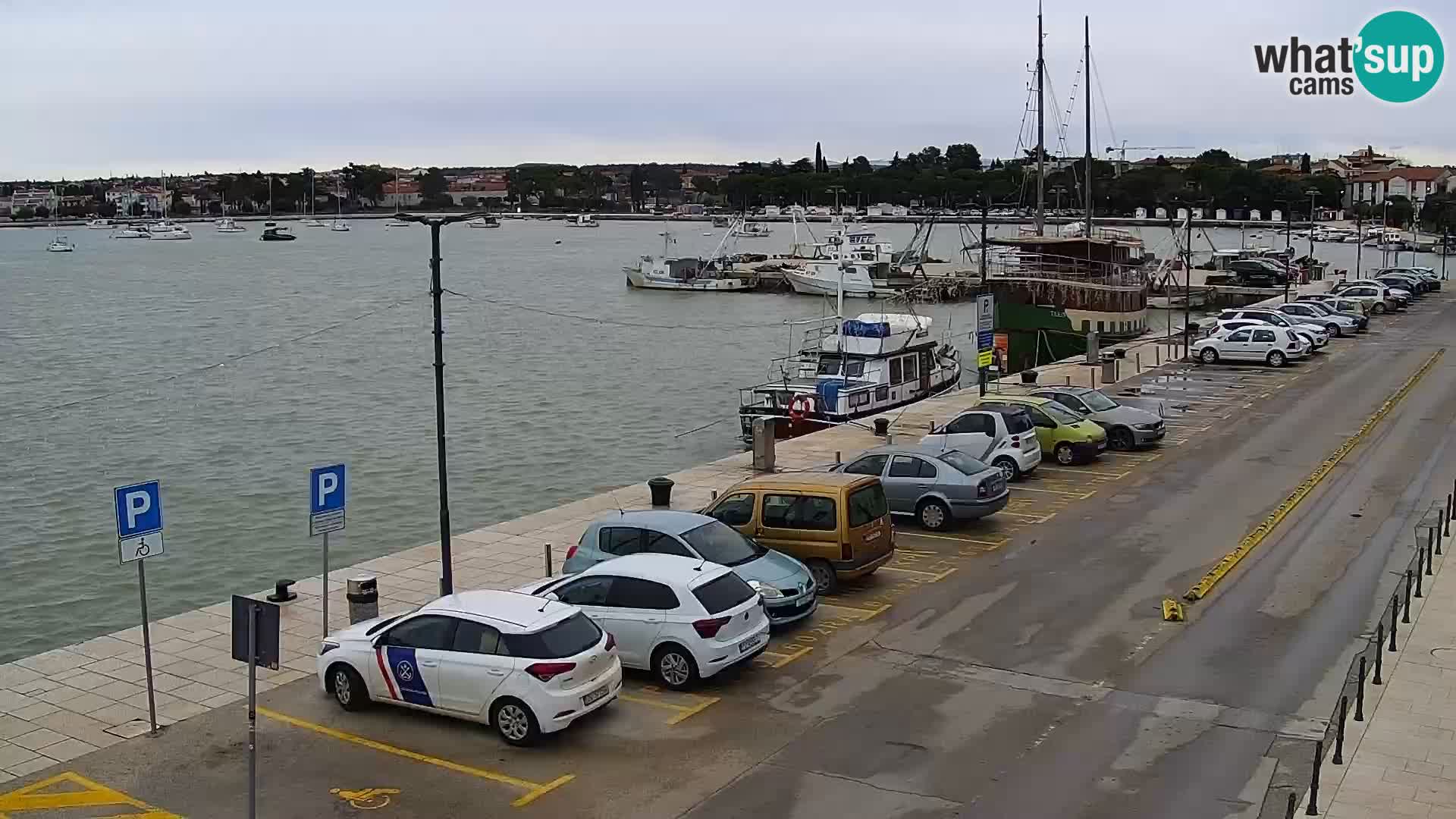 Webcam live Umag – port