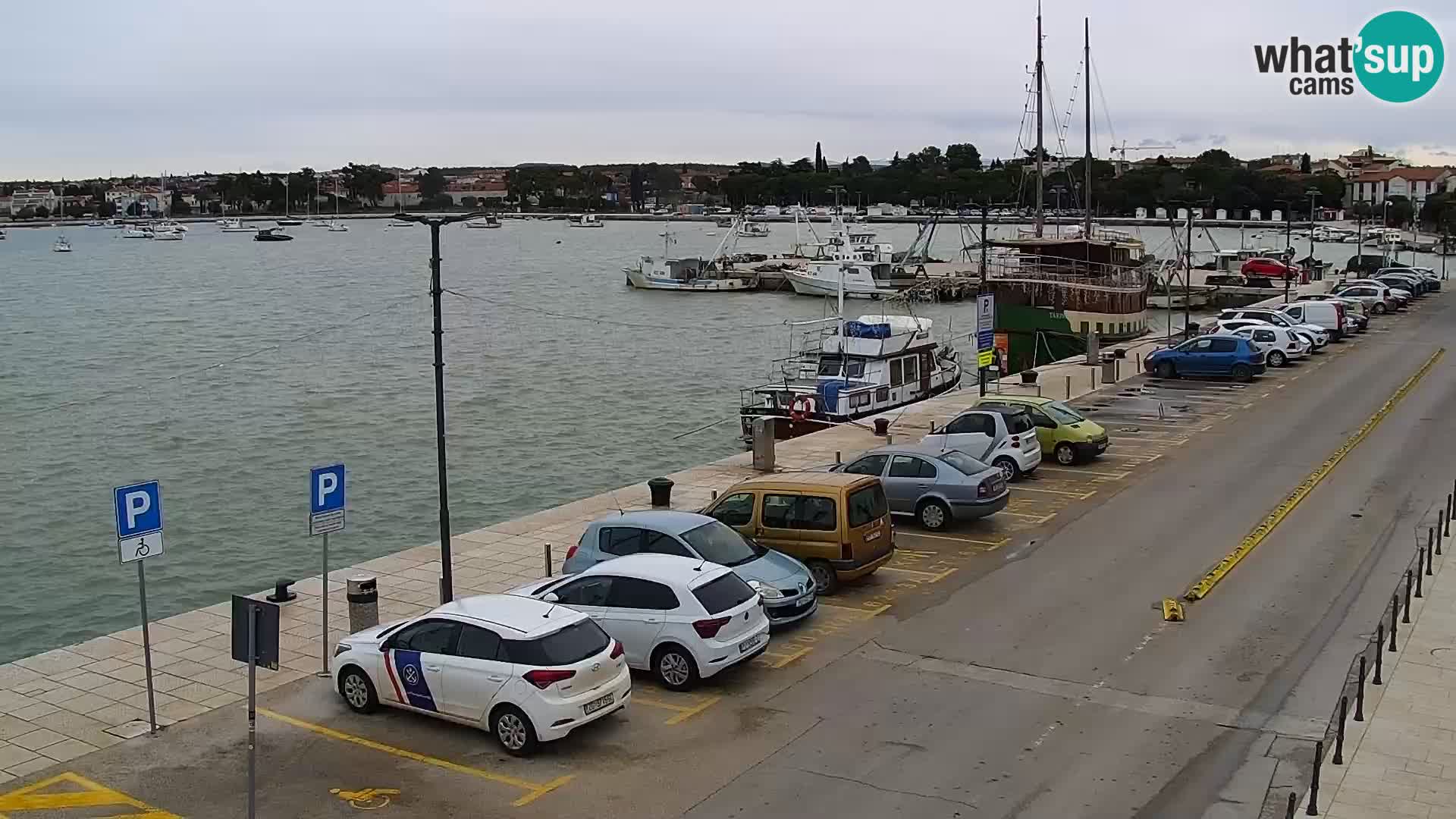 Live webcam Umag – Harbour