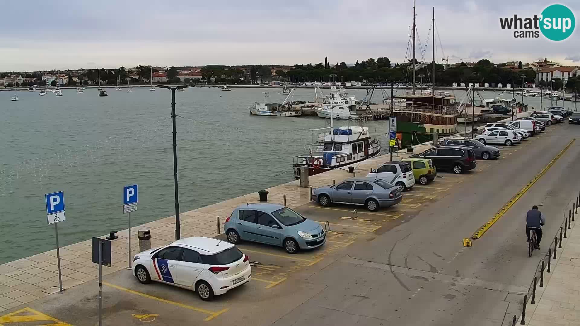 Webcam live Umag – port