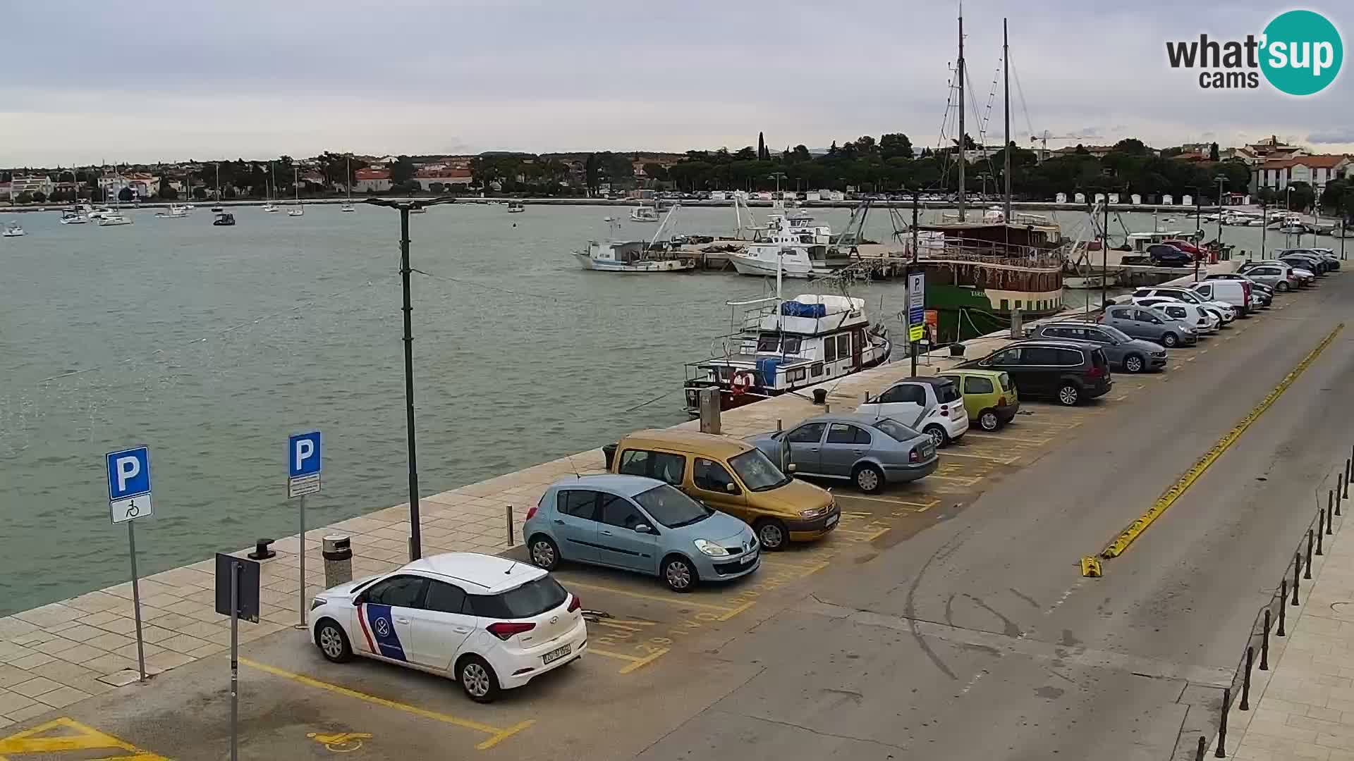 LIVE Webcam Umag – Main Square