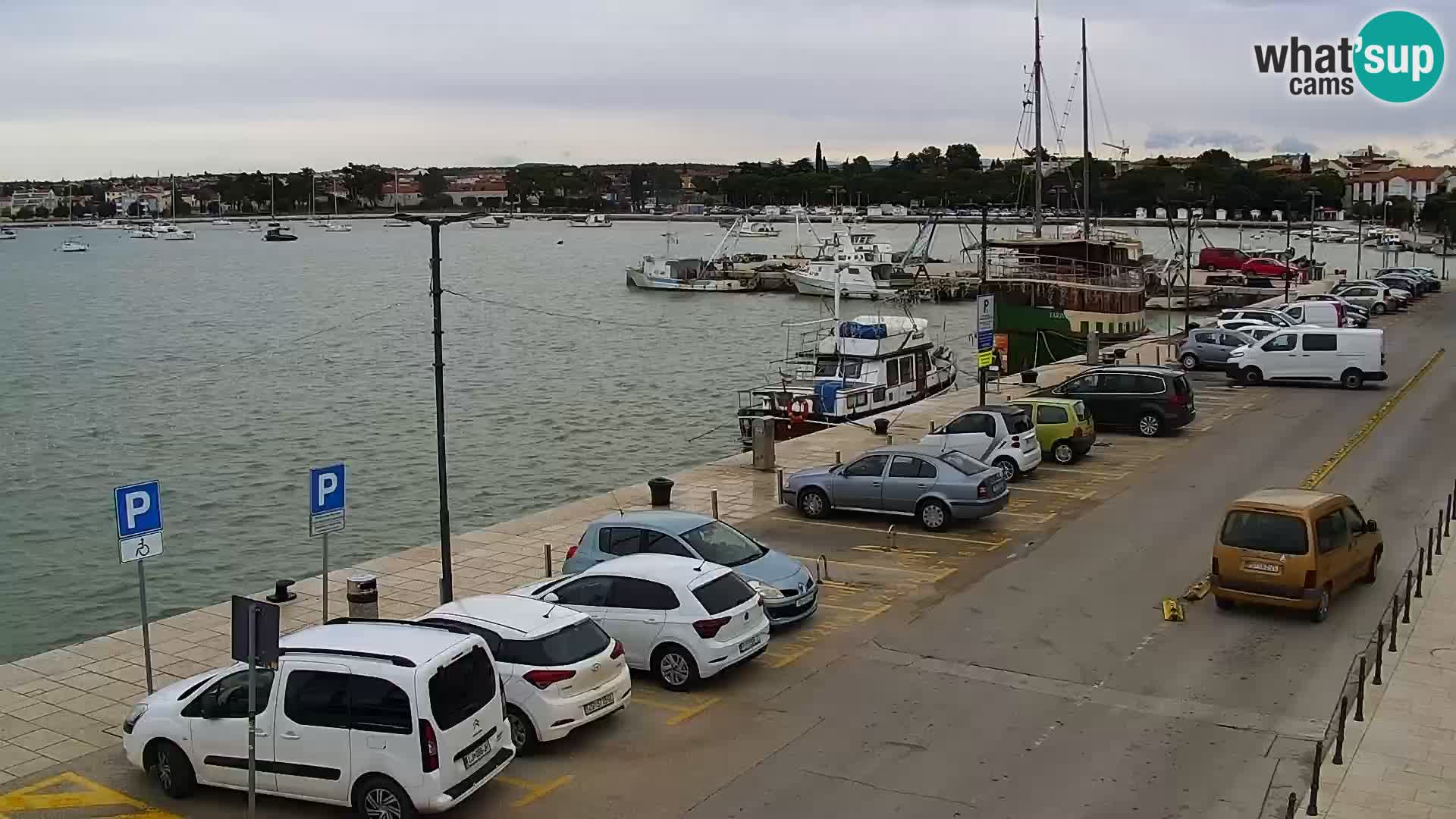 Webcam live Umag – port