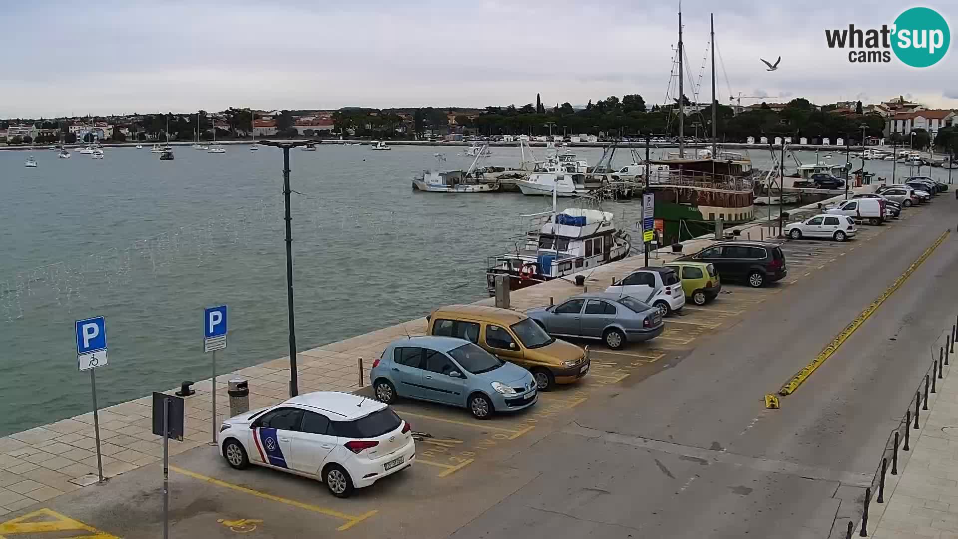 LIVE Webcam Umag – Main Square