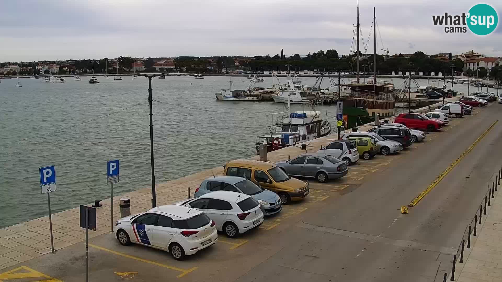 LIVE Webcam Umag – Main Square