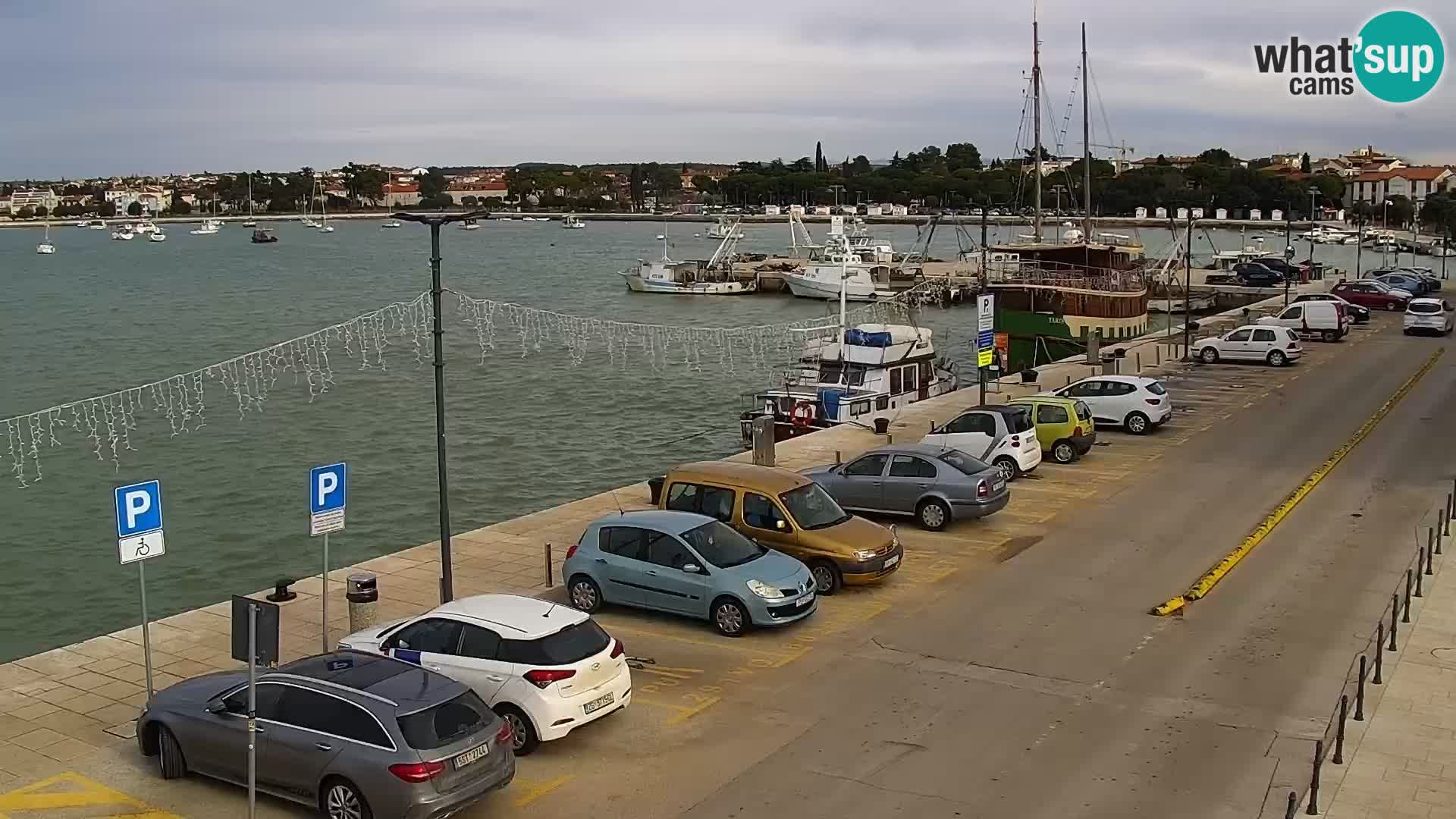 Spletna kamera Umag – luka