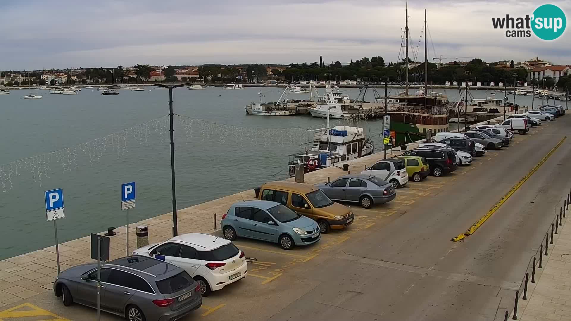 Webcam live Umag – port