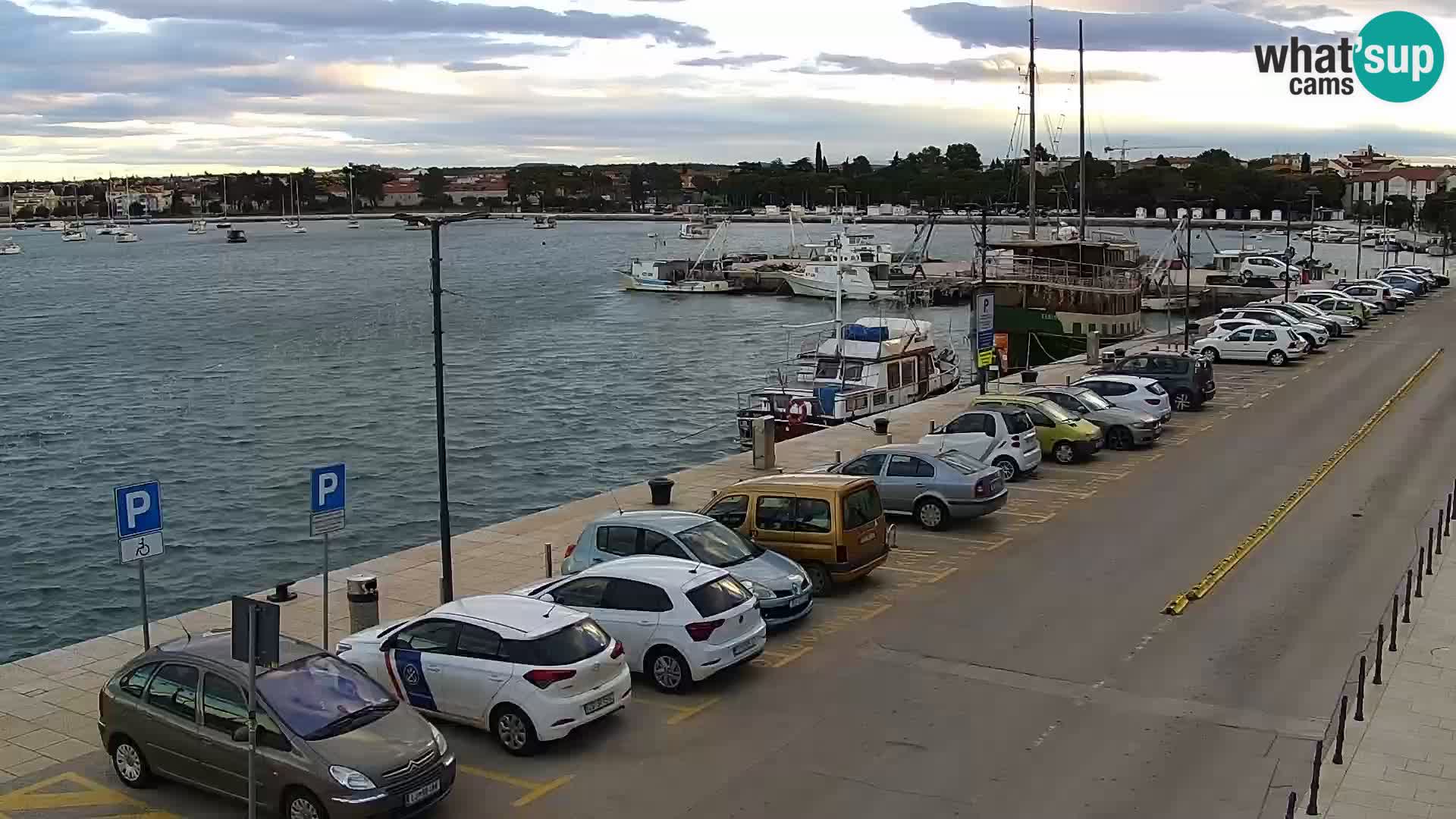 Webcam Umag – Puerto