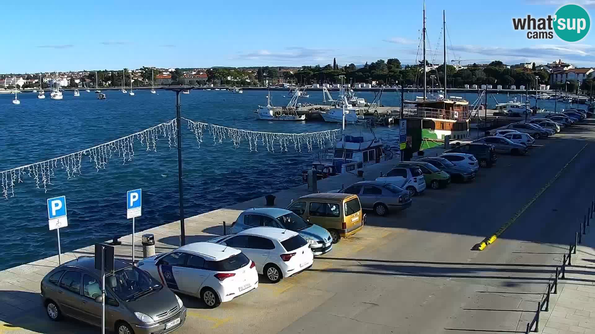 Webcam live Umag – Hafen