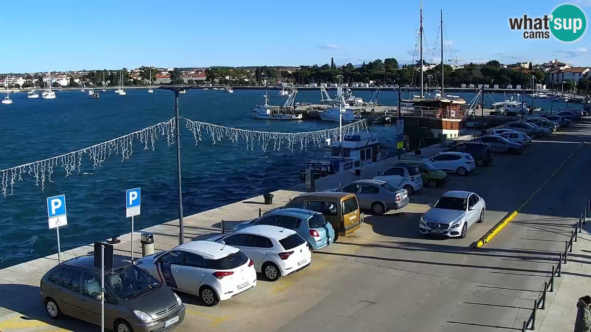 Webcam live Umag – Hafen