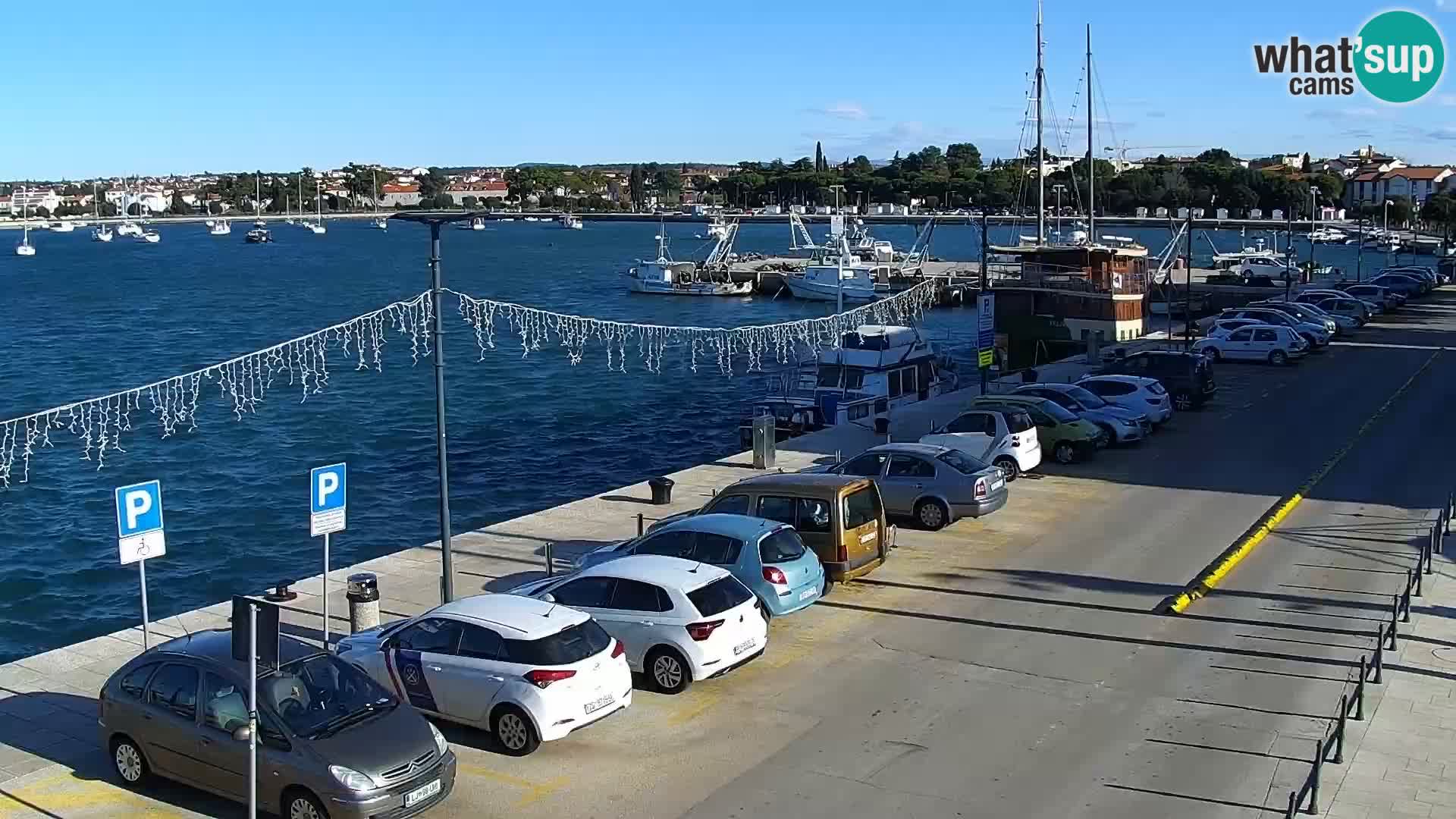 Webcam live Umag – Hafen