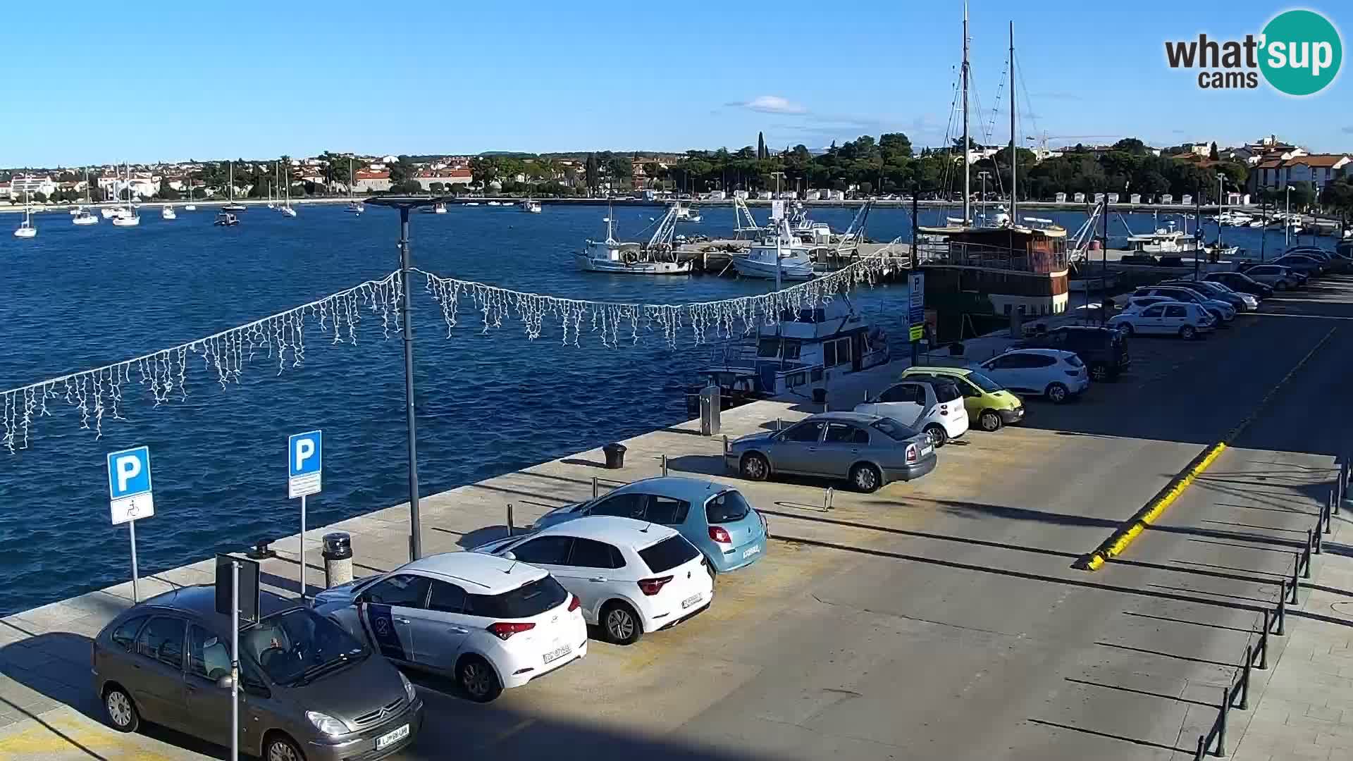 Webcam Umag – Puerto