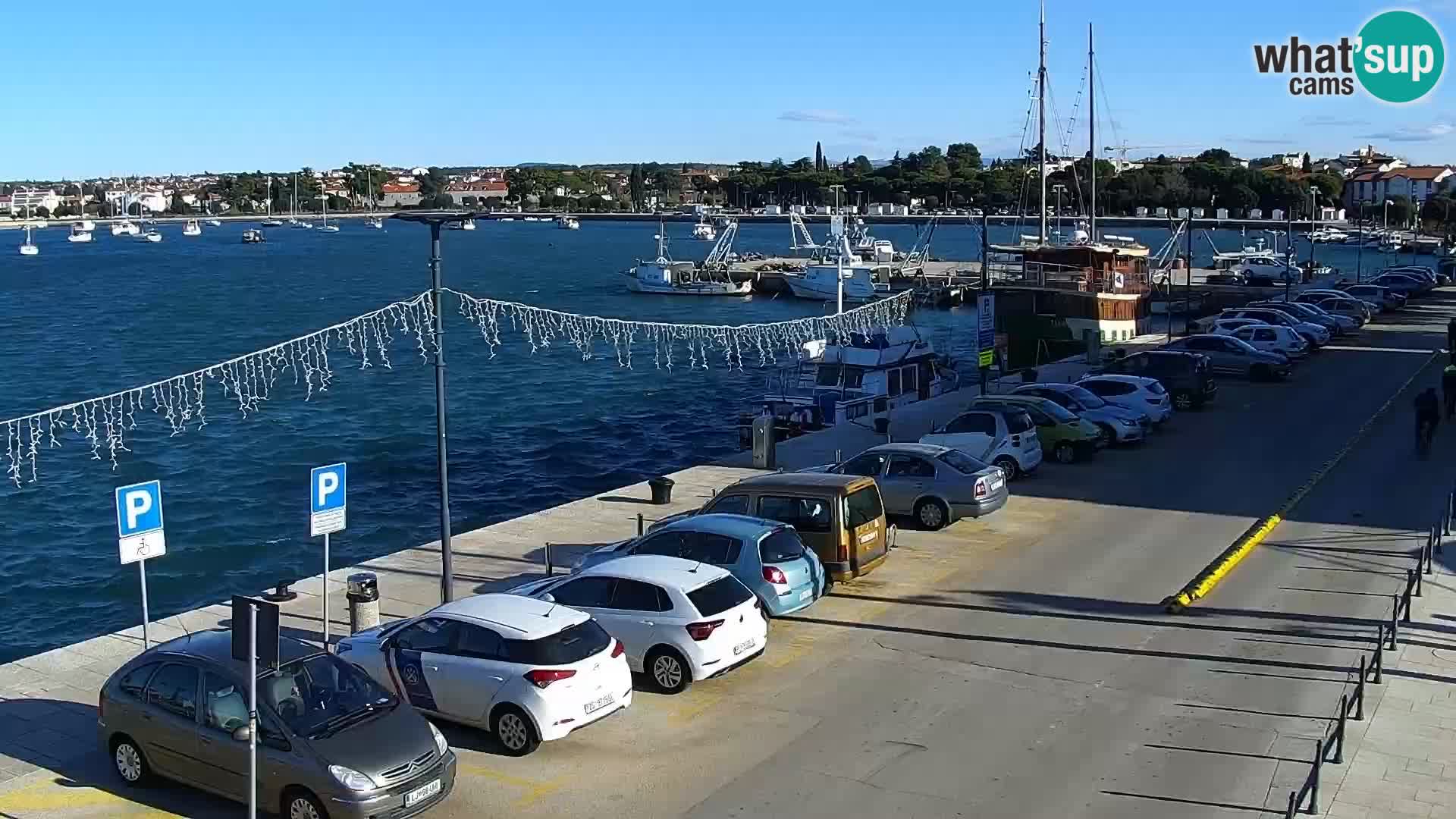 Webcam live Umag – Hafen