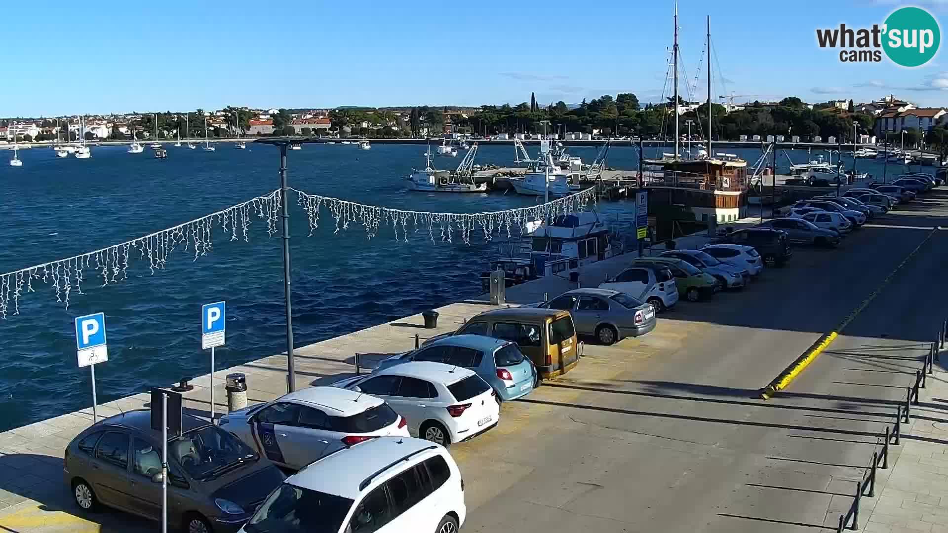 Webcam Umag – Puerto