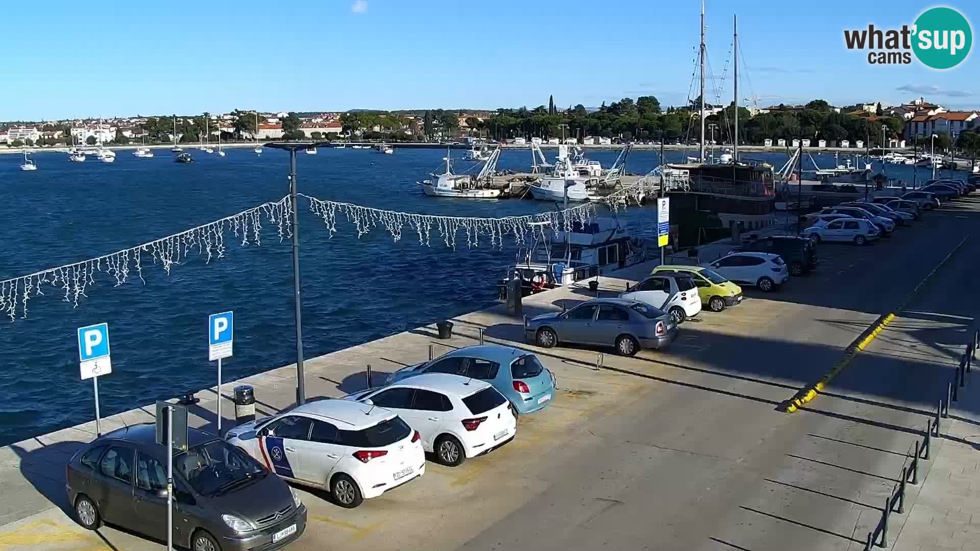 Webcam live Umag – Hafen